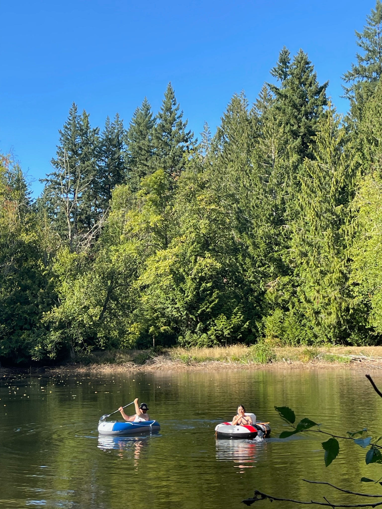 Cedar Hollow