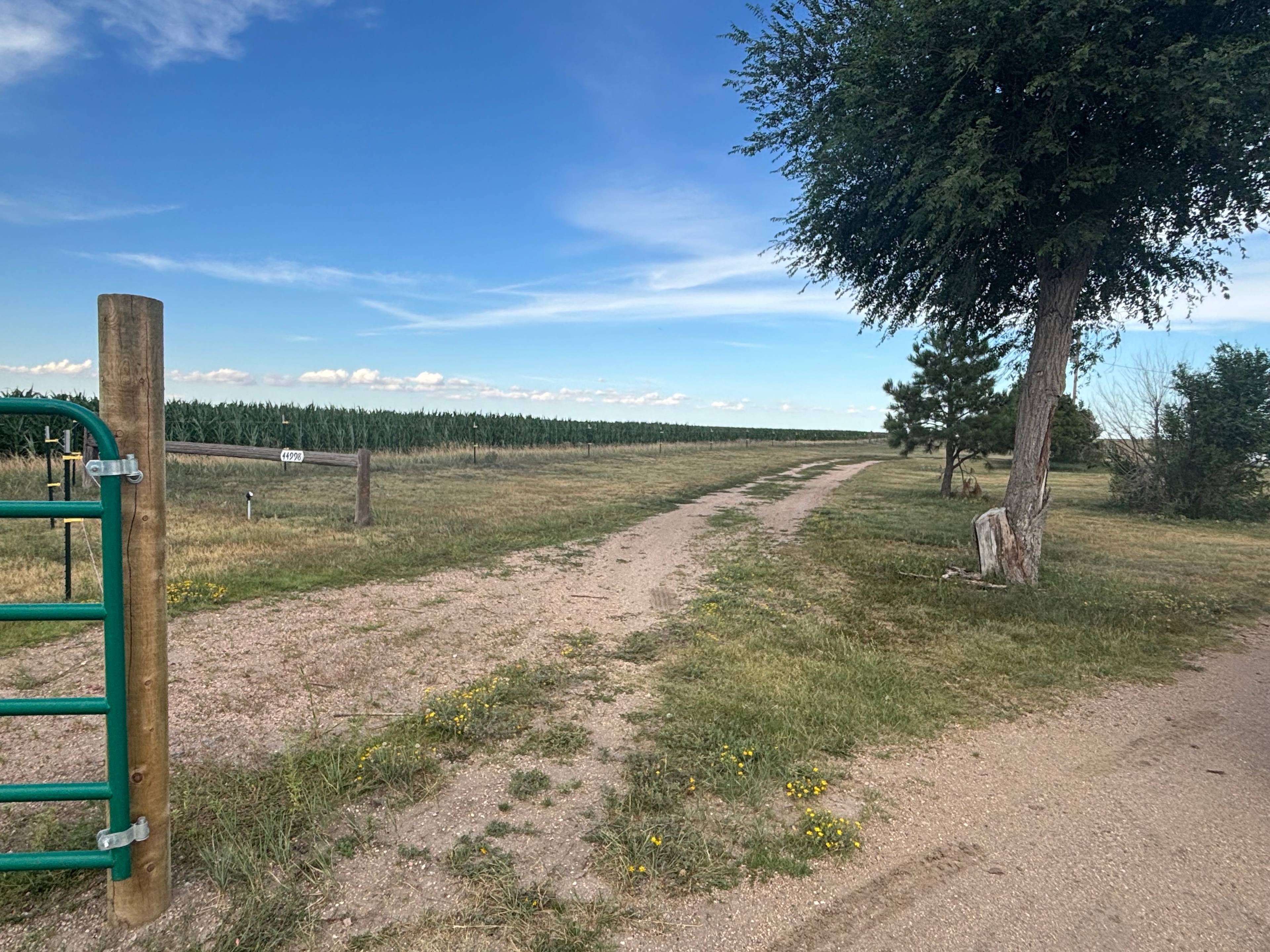 BeeHorsey Ranch