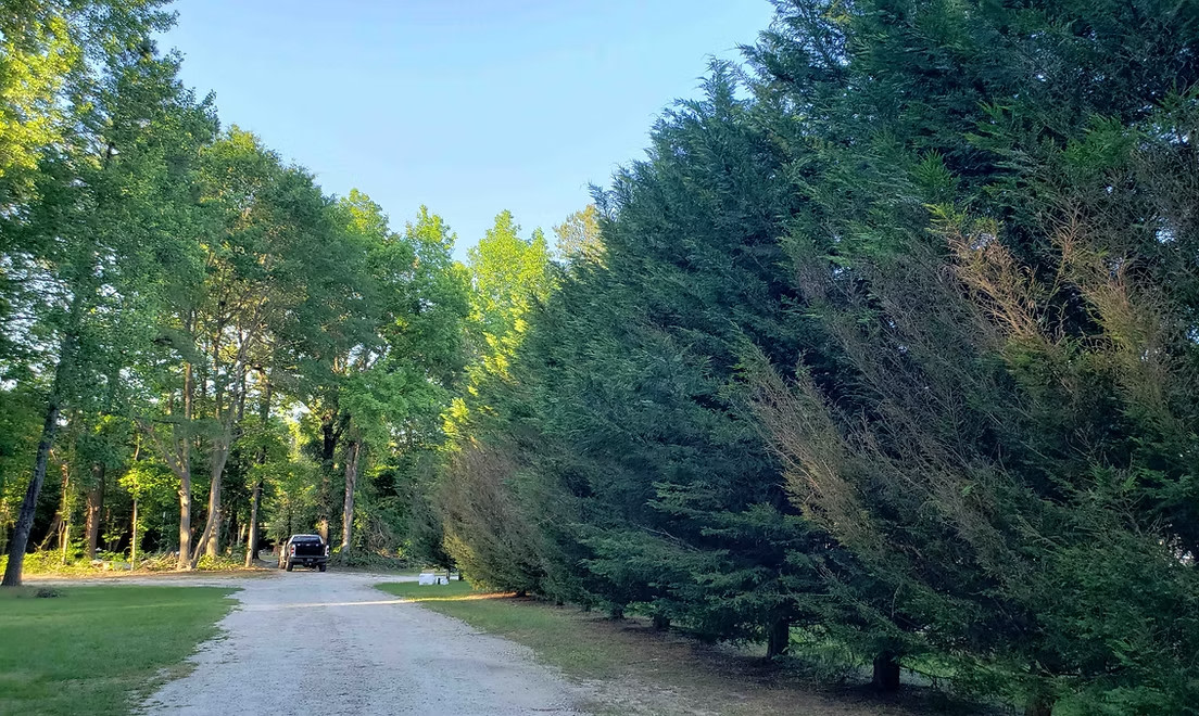 Joes rv park and campground