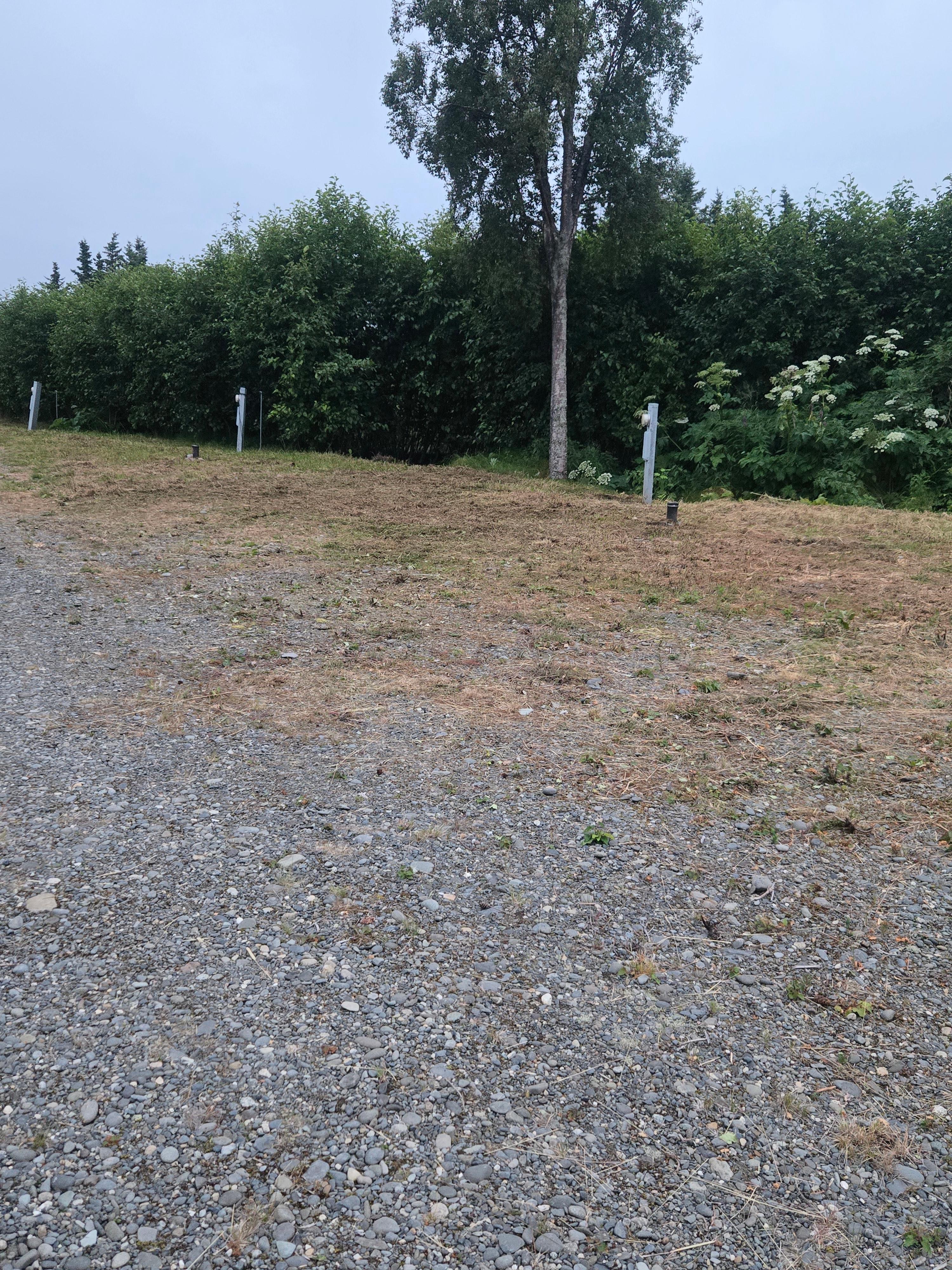 Alder Avenue Rentals