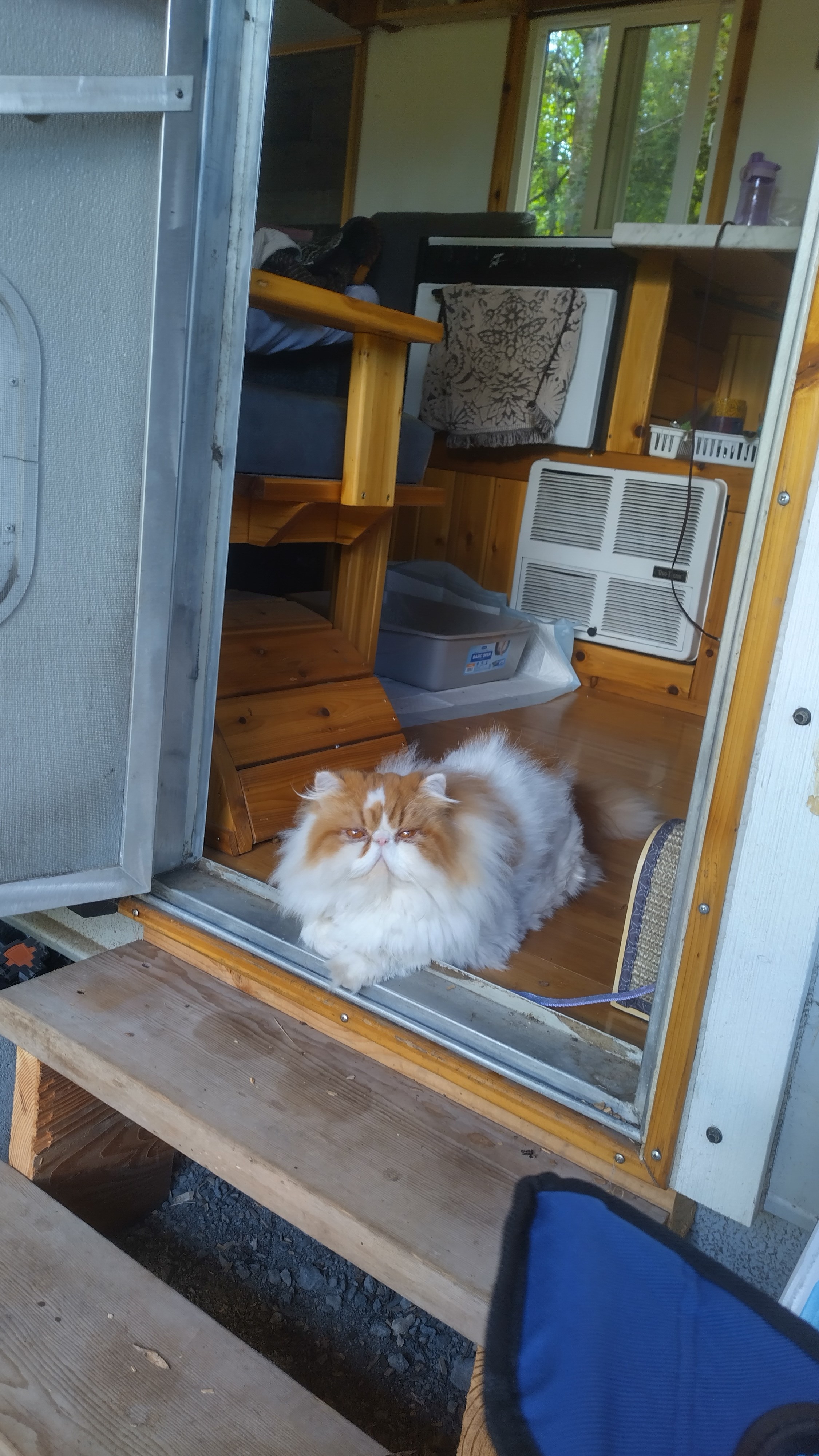 Amber loved the trailer and exploring the grounds