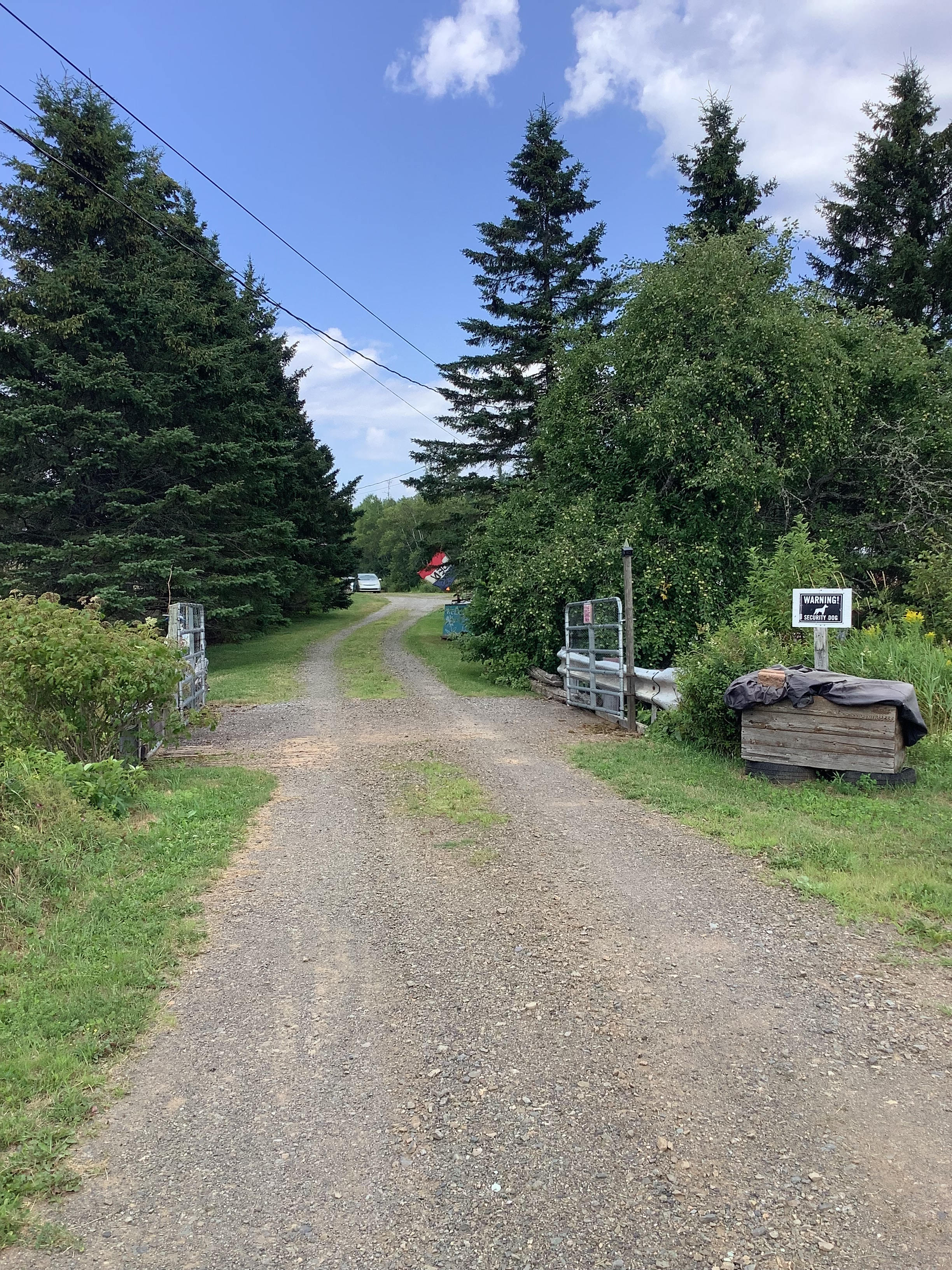 Welcome to Shannon Farmstead 