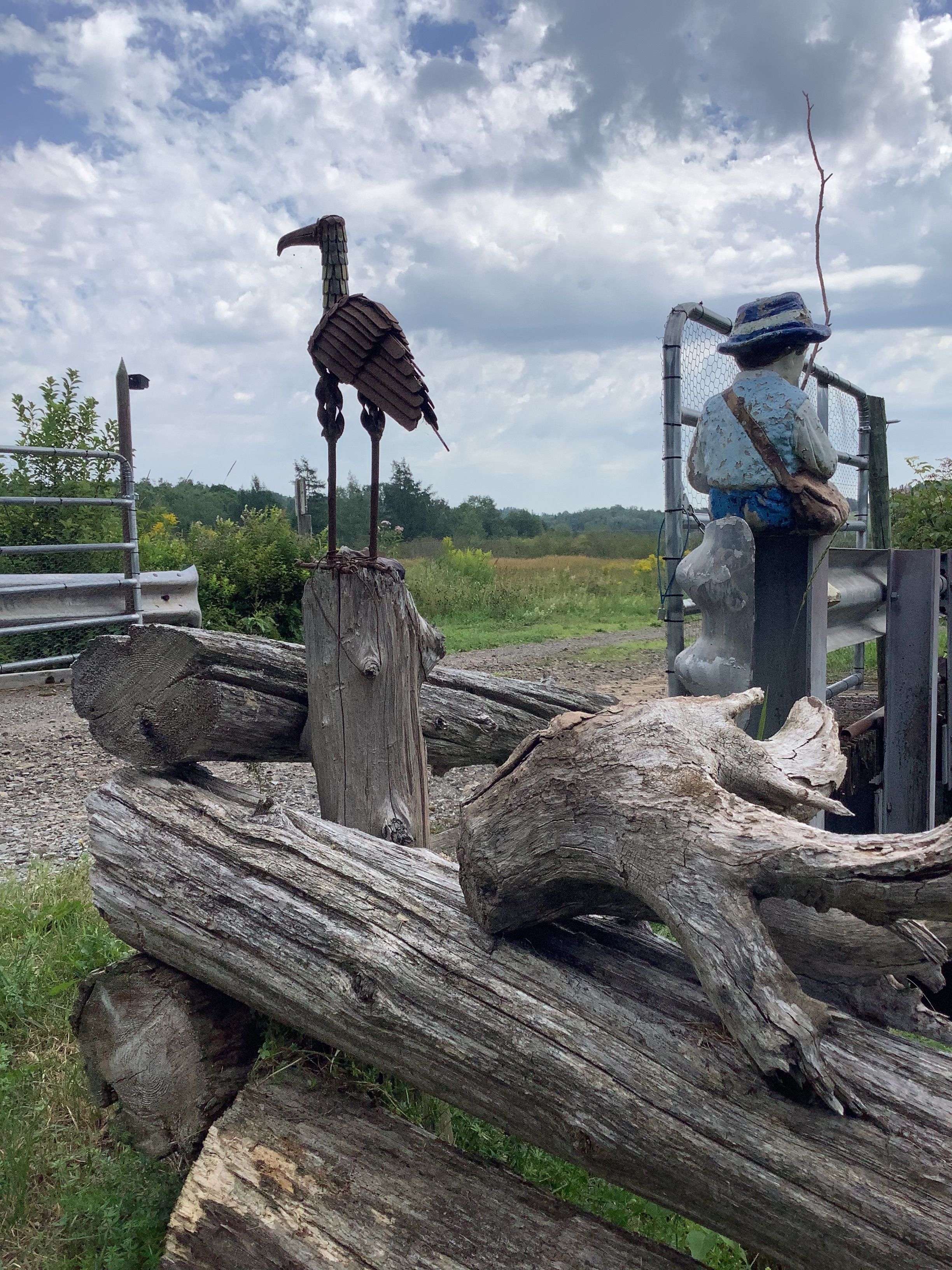 This is Walter the guard bird and Charlie our little fisherman, these will be your greeters as you enter over the bridge and into our farmstead. 
