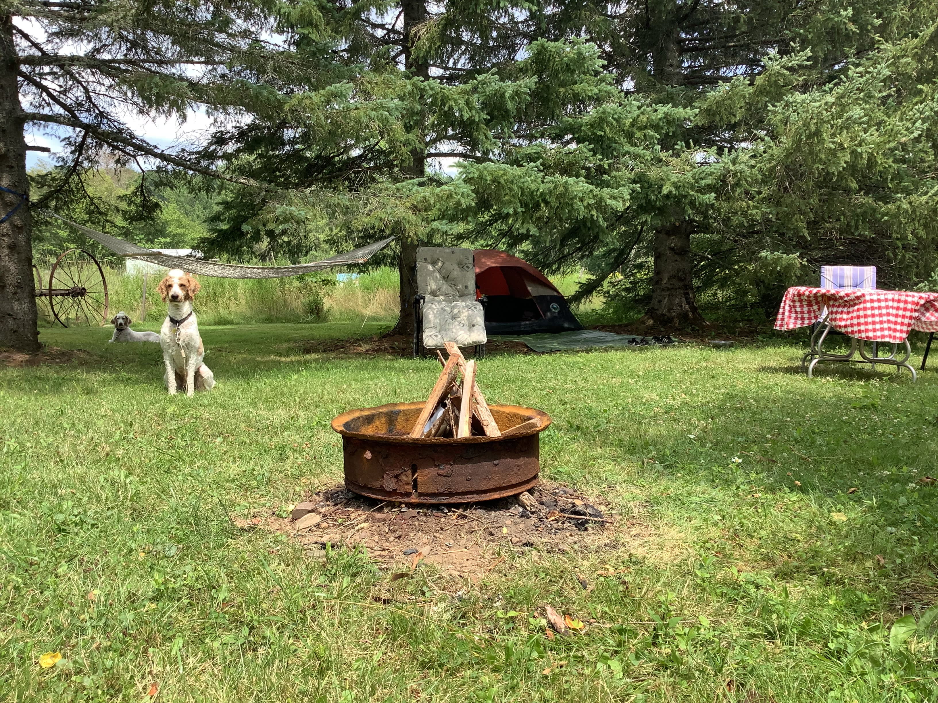 Camp Site #1 The Brook 
The first site we create here on our farmstead