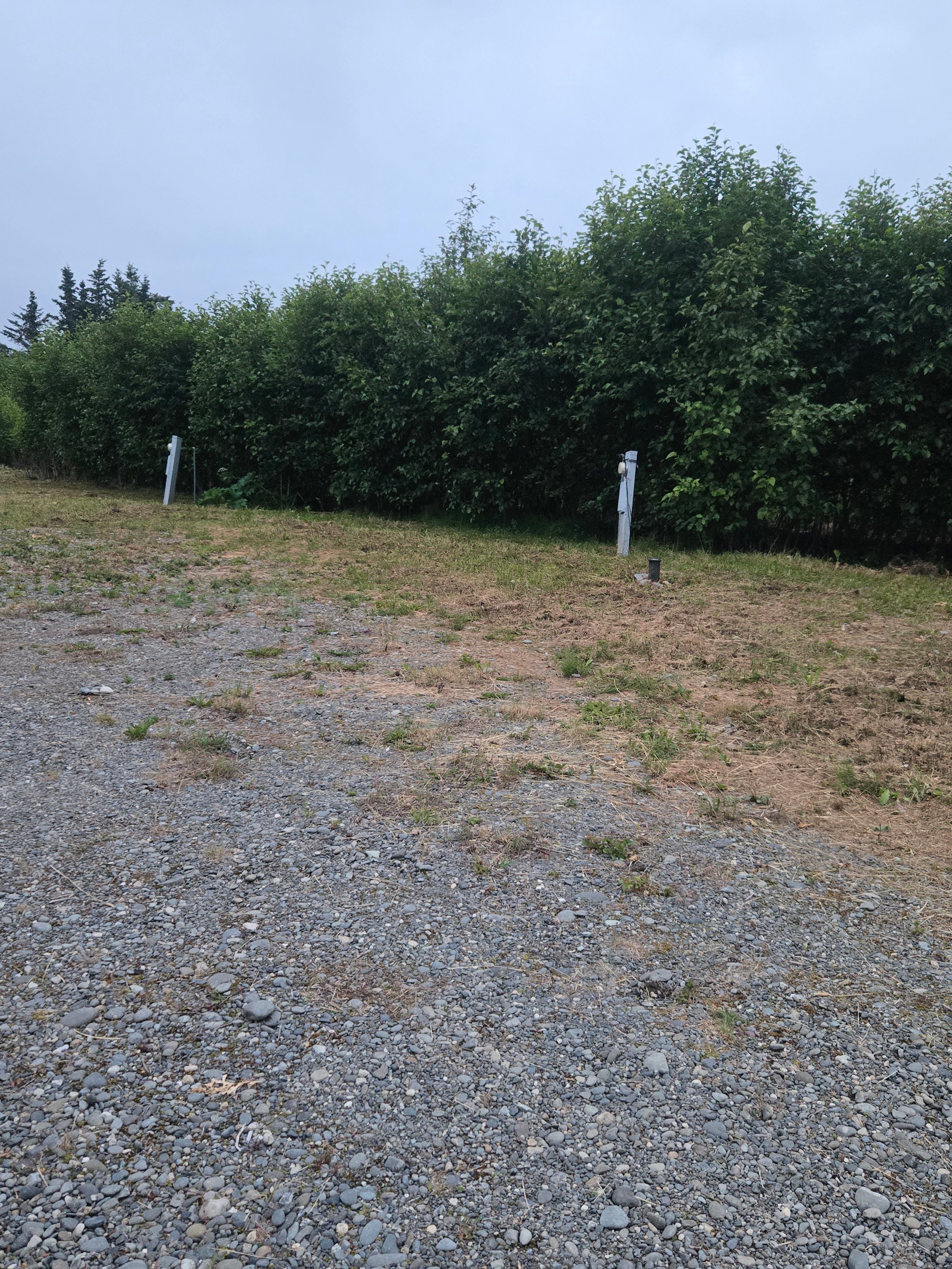 Alder Avenue Rentals