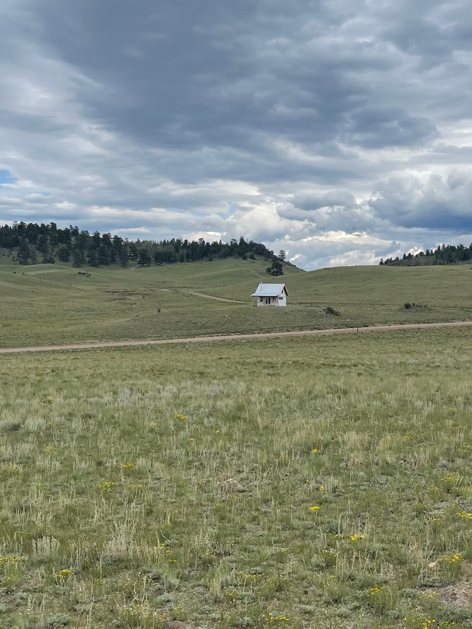 Aikman Acres