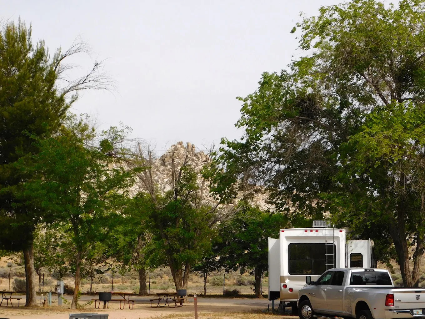 Shady Oasis Campground