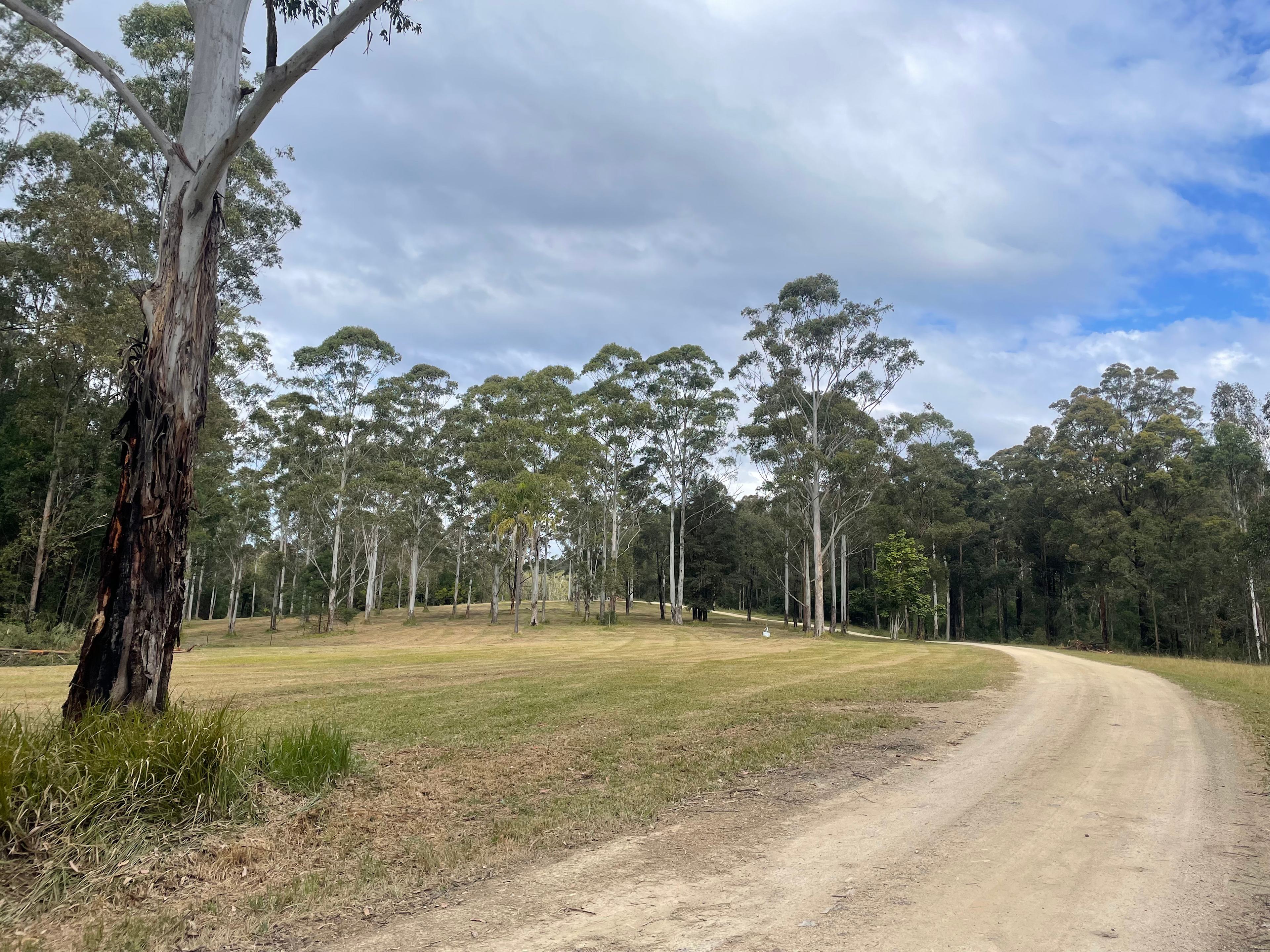Driveway view
