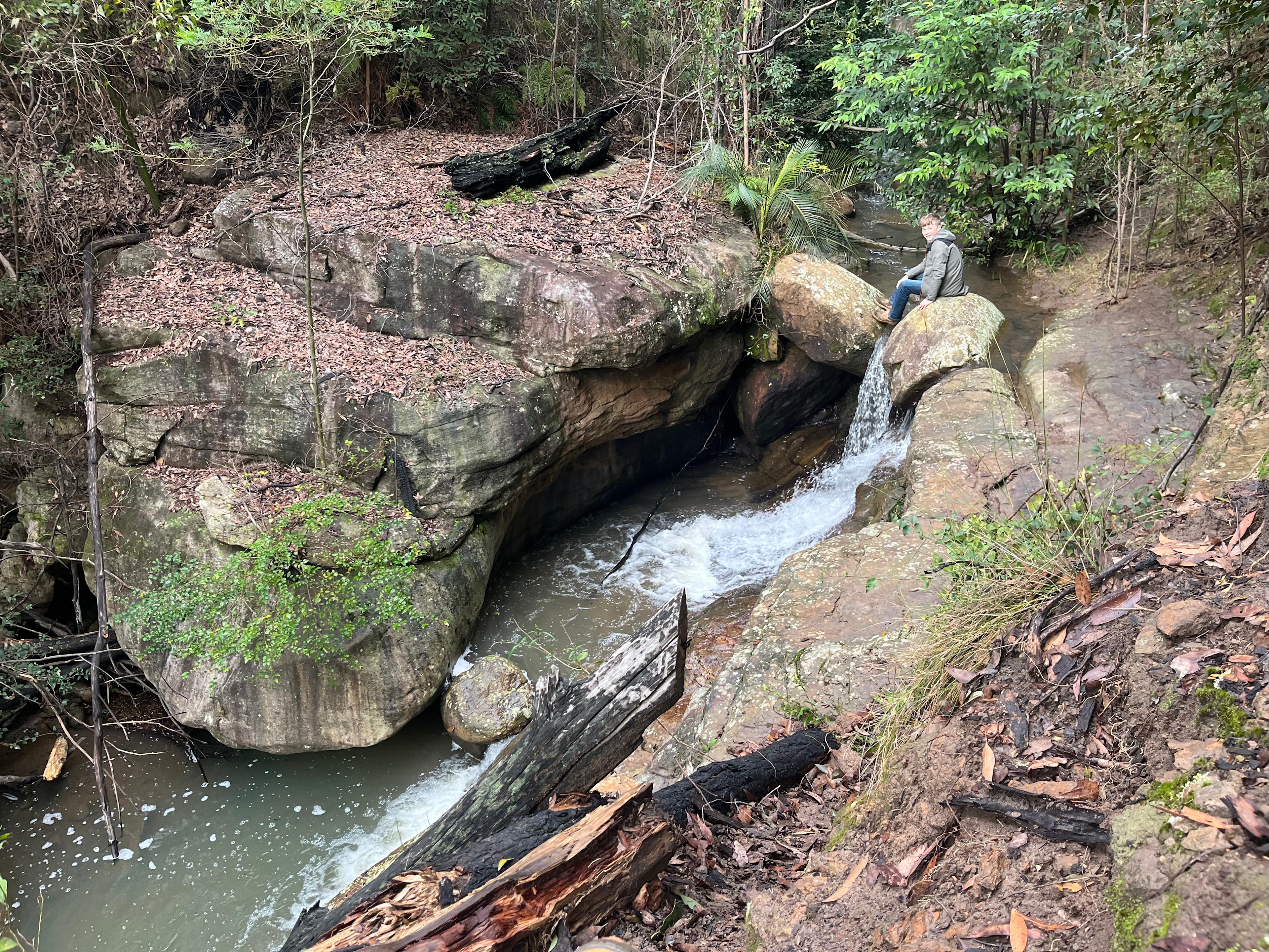 Wombat Hollow