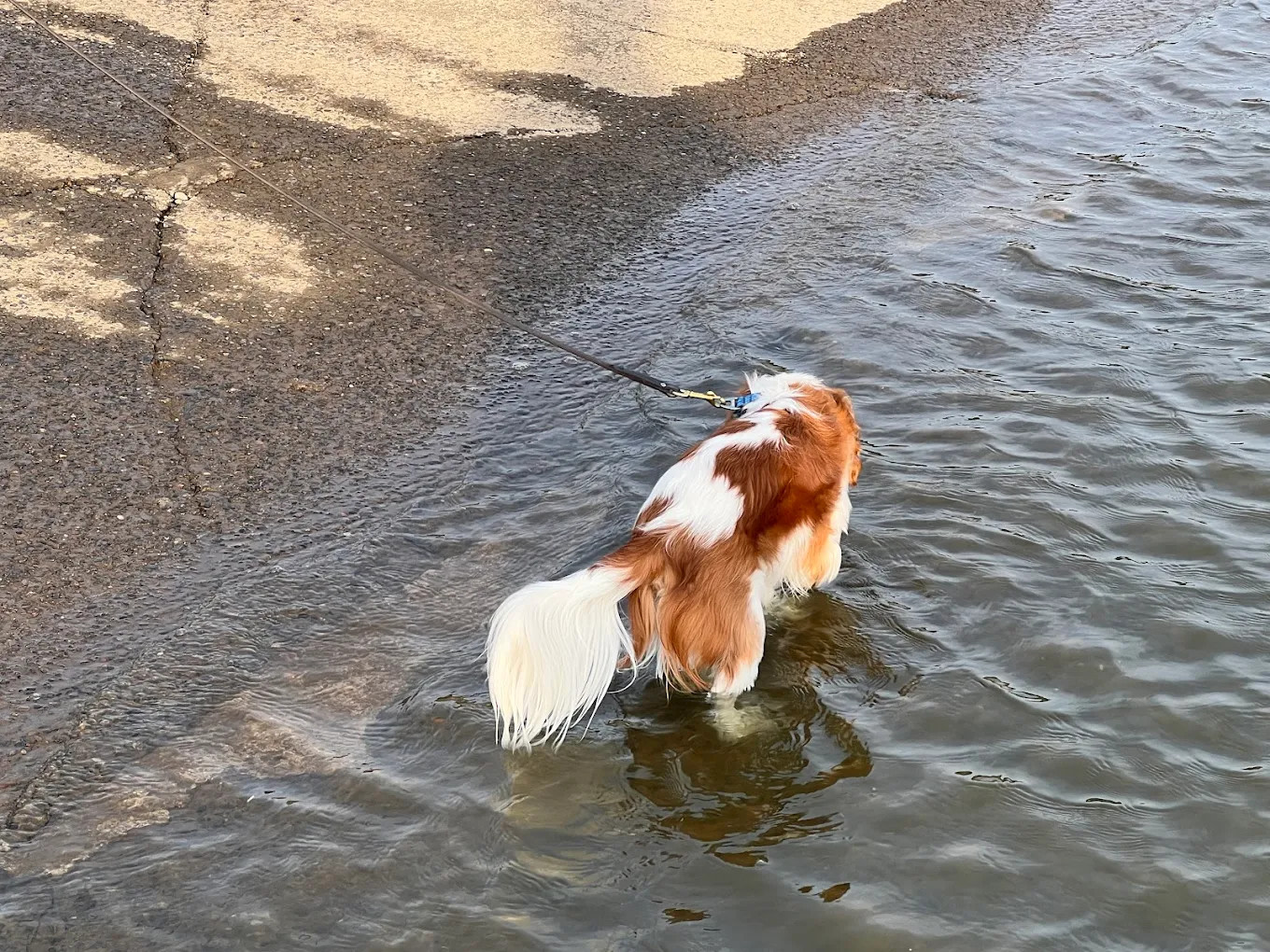 Onoville Marina Park