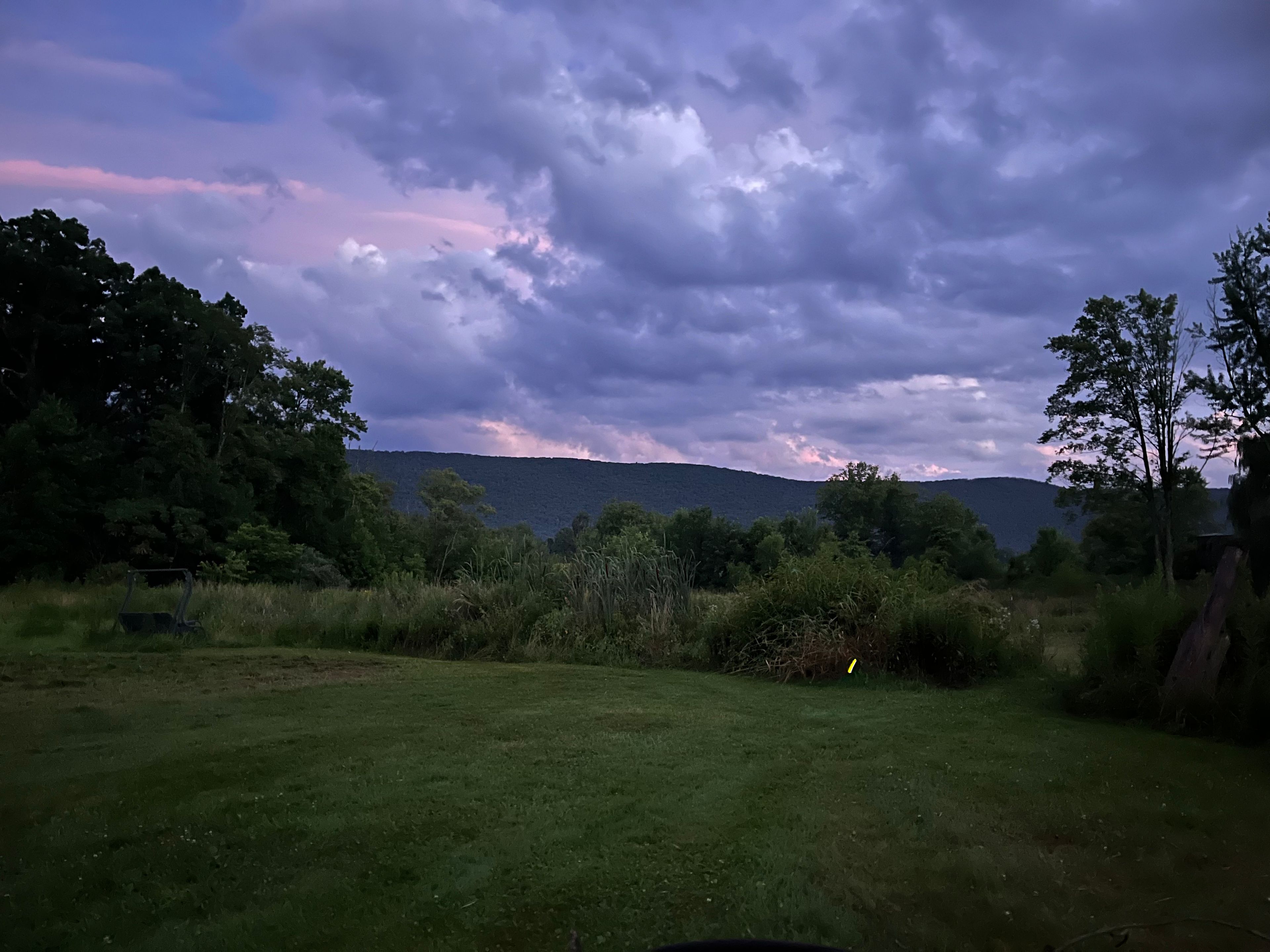 Chasing fireflies