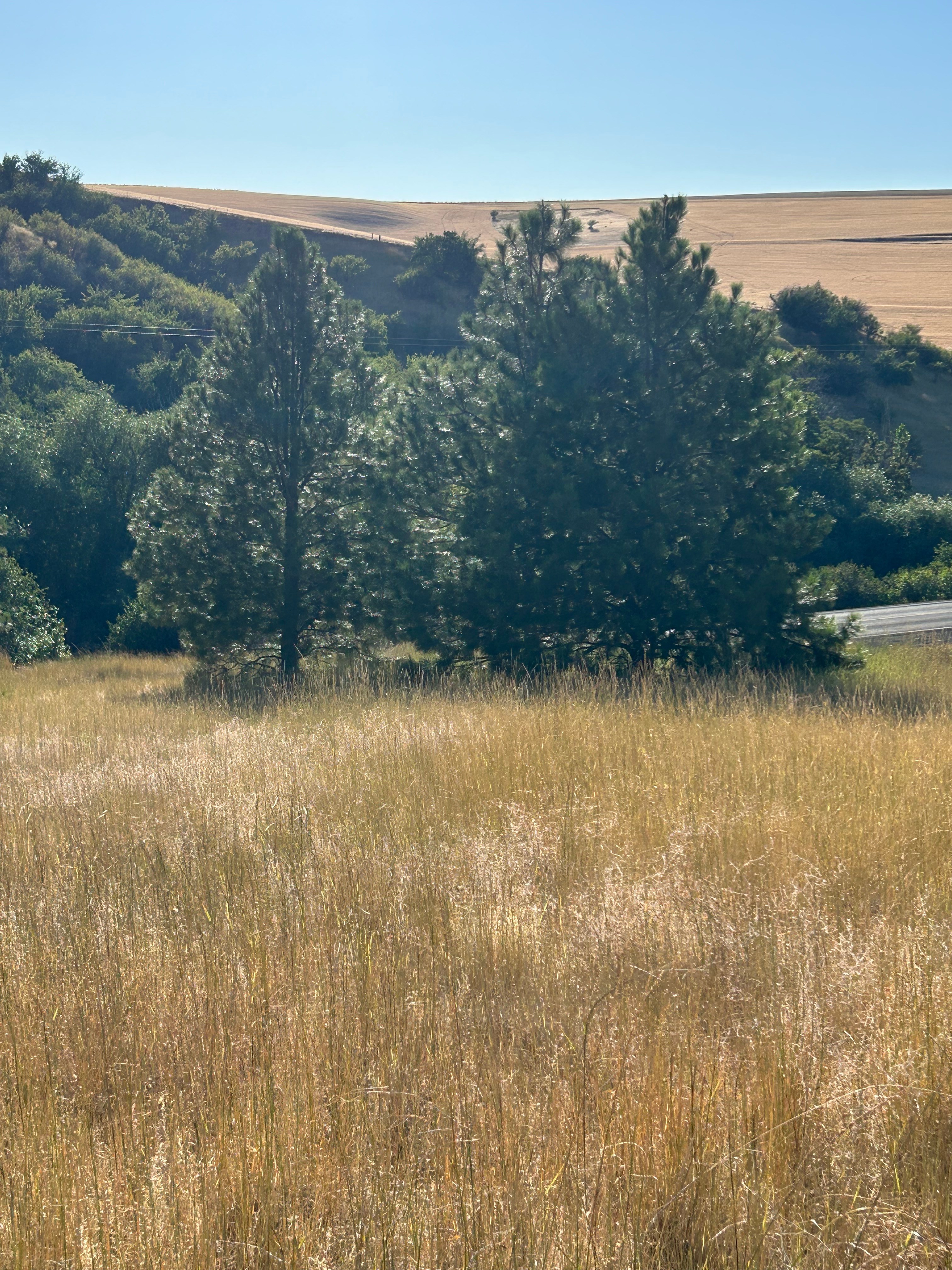 Edwards Acres Ranch