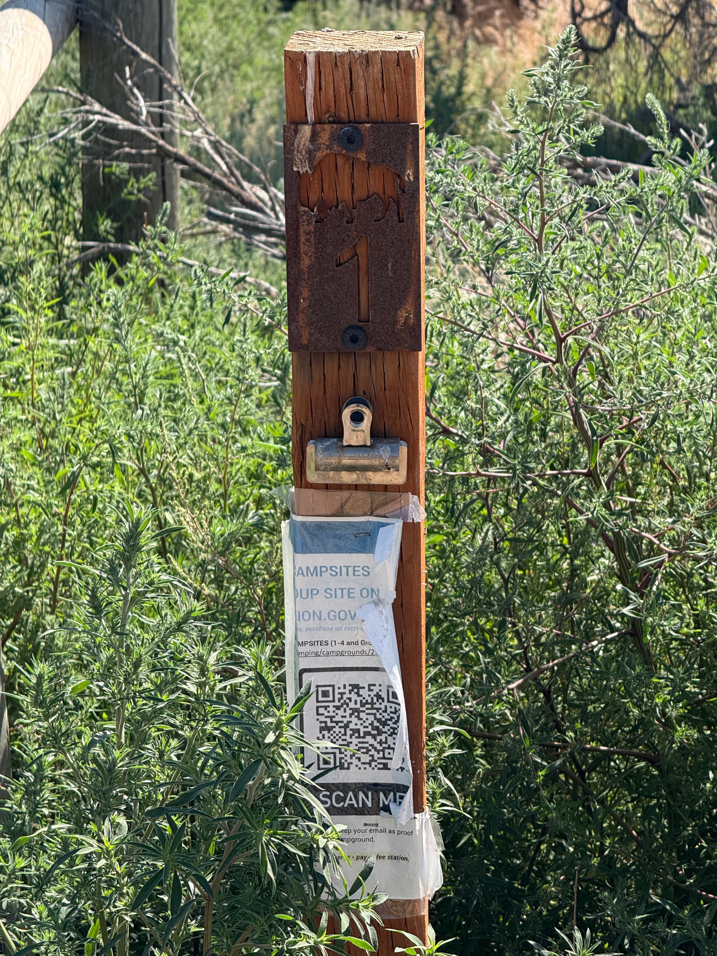 Reserved sites were not marked as reserved