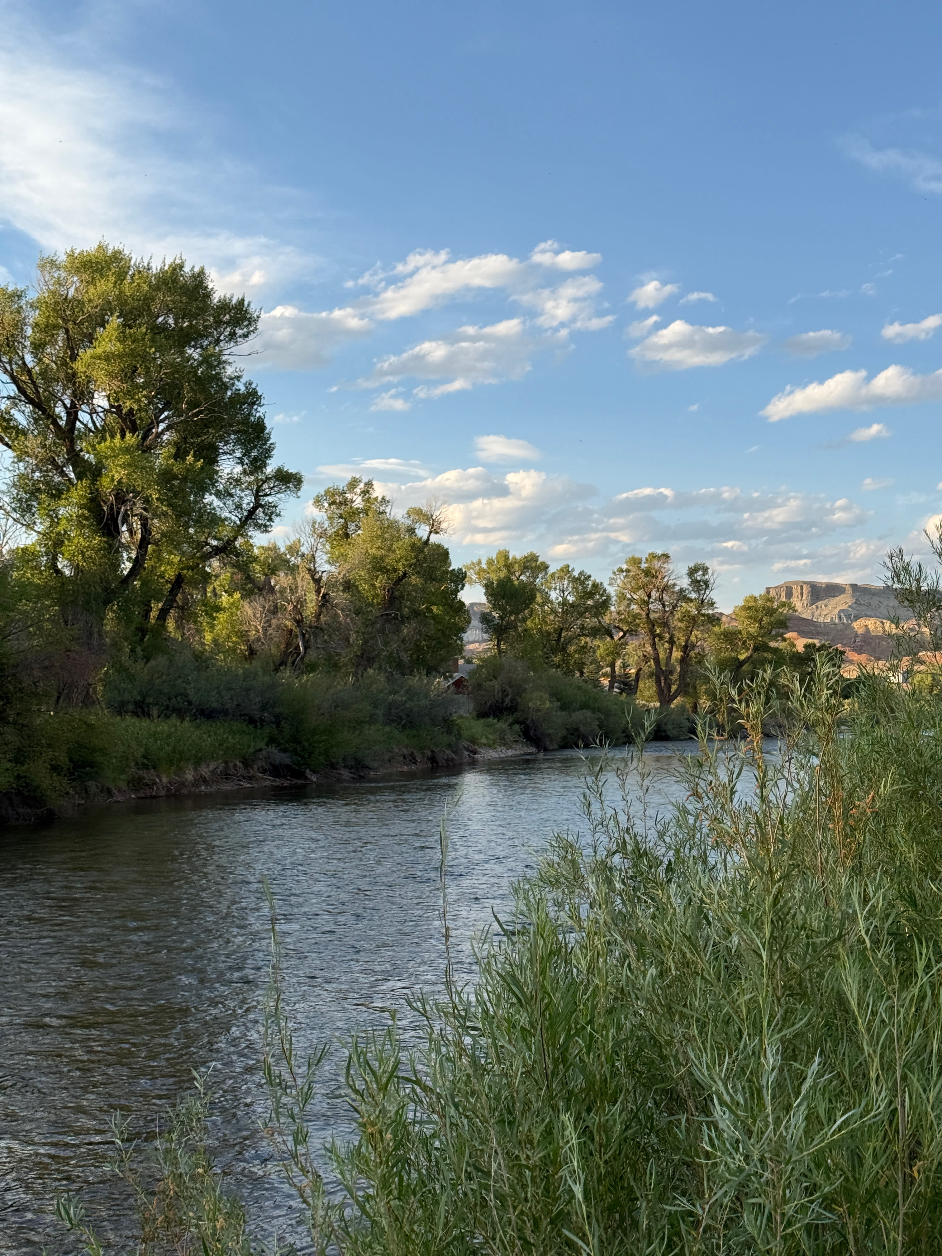 View from Site #48