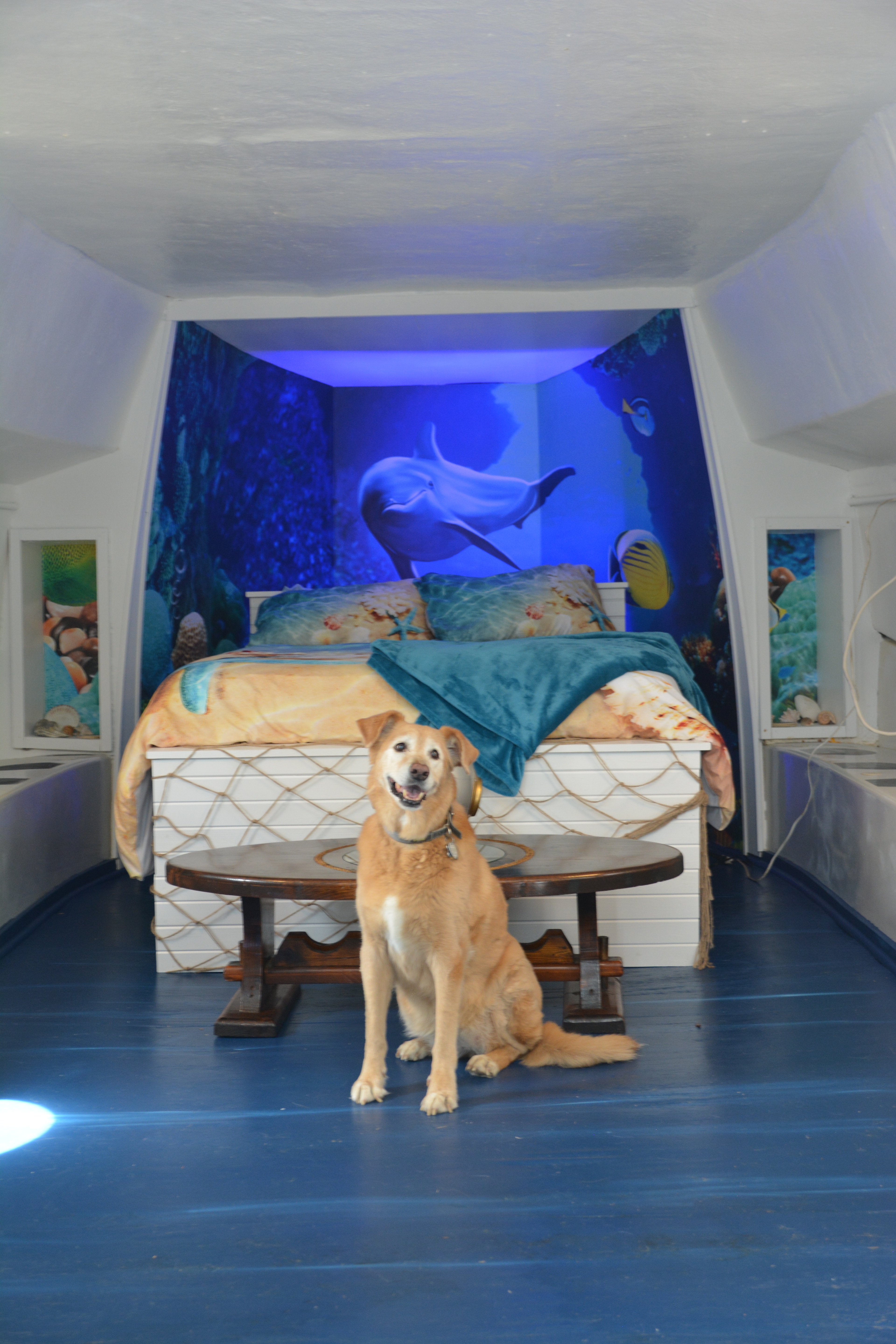 Container Experience