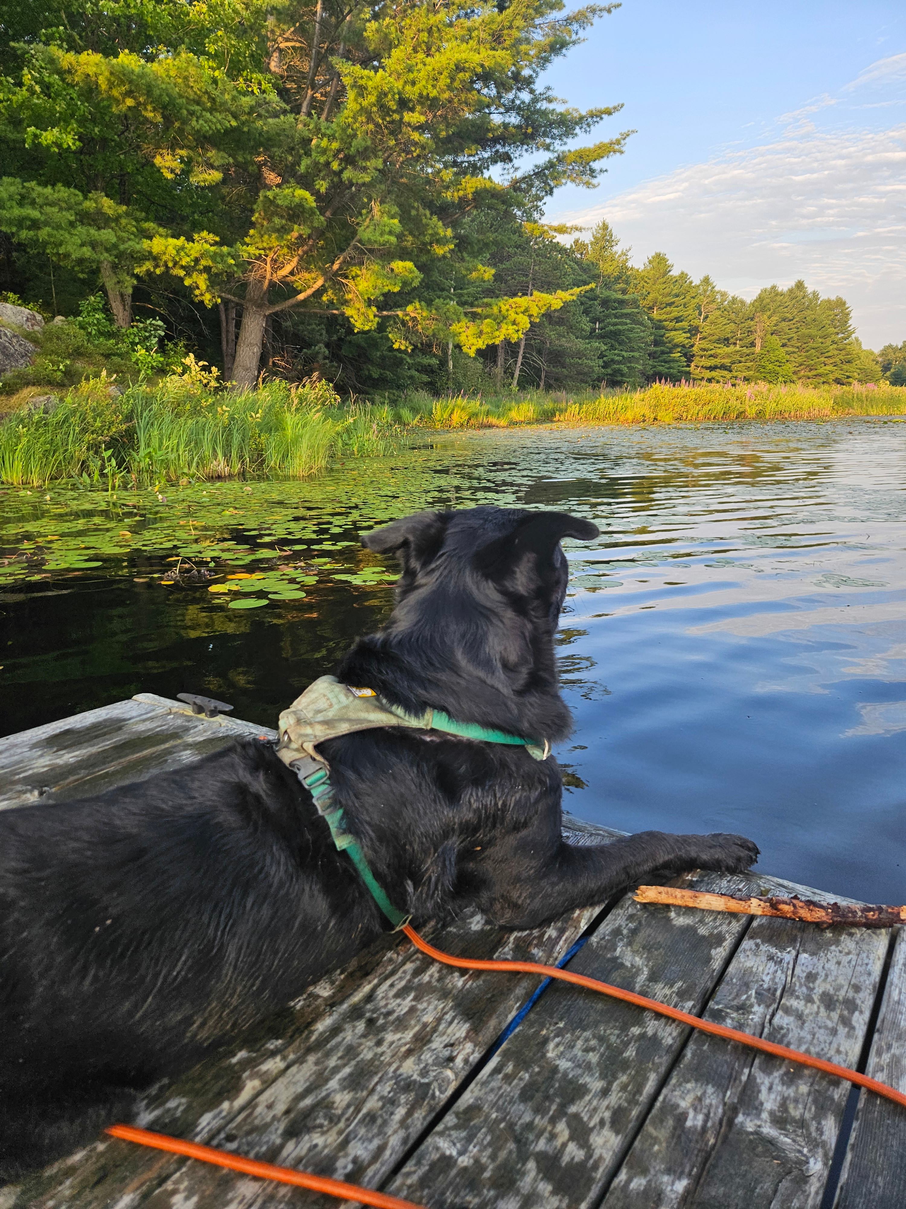 Wilderness Trails At Sumac