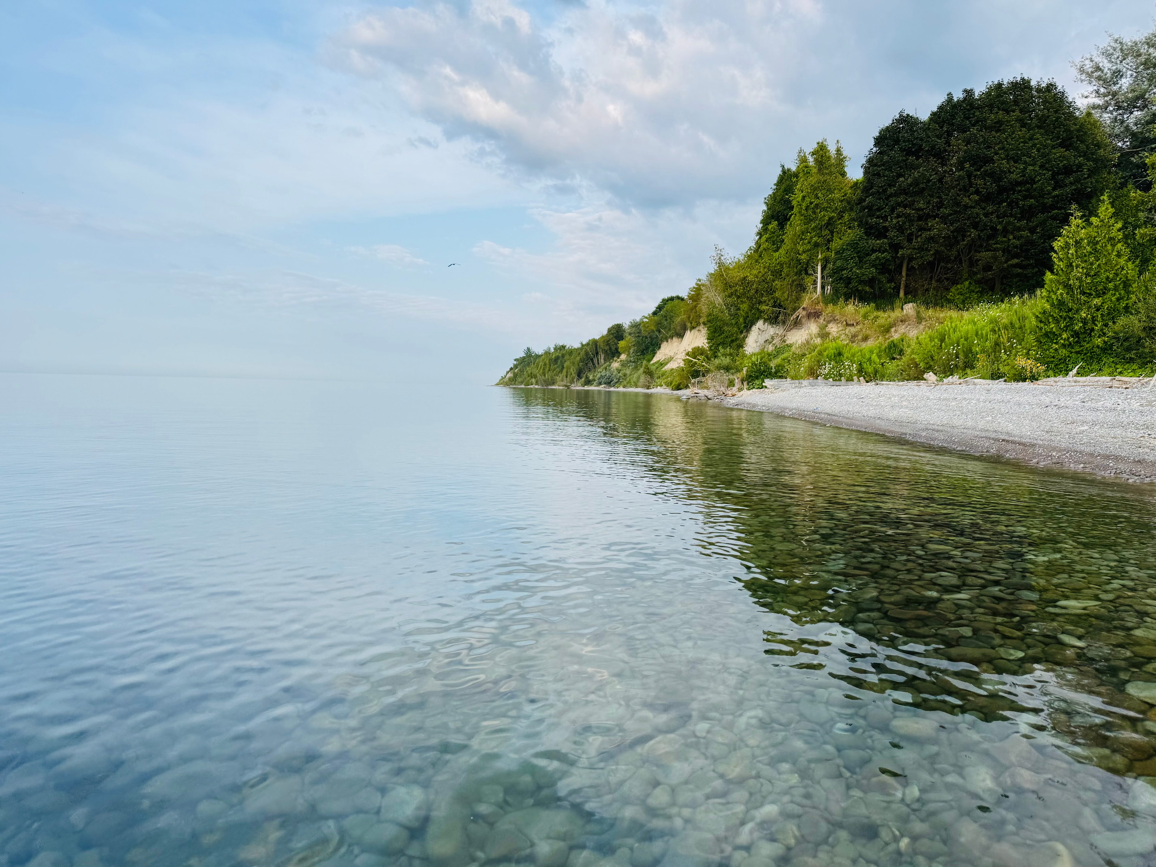 View of the shoreline while swimming
