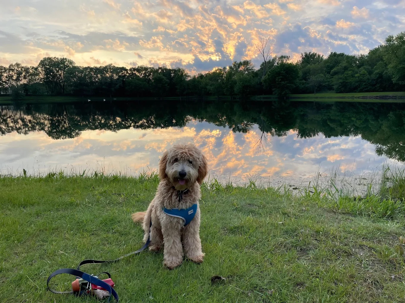 Sycamore RV Resort and Campground