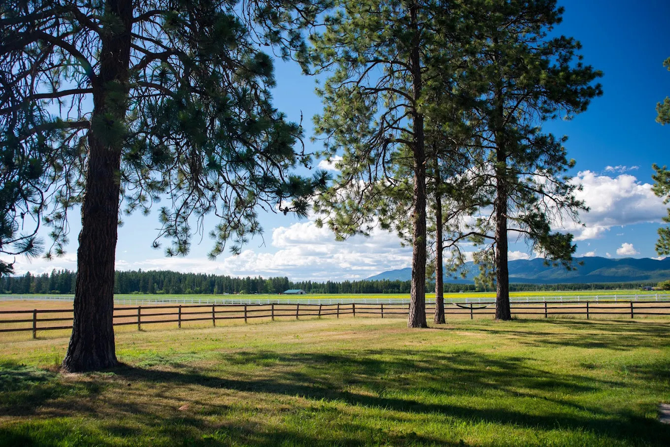 Montana Bike Hostel & Camping