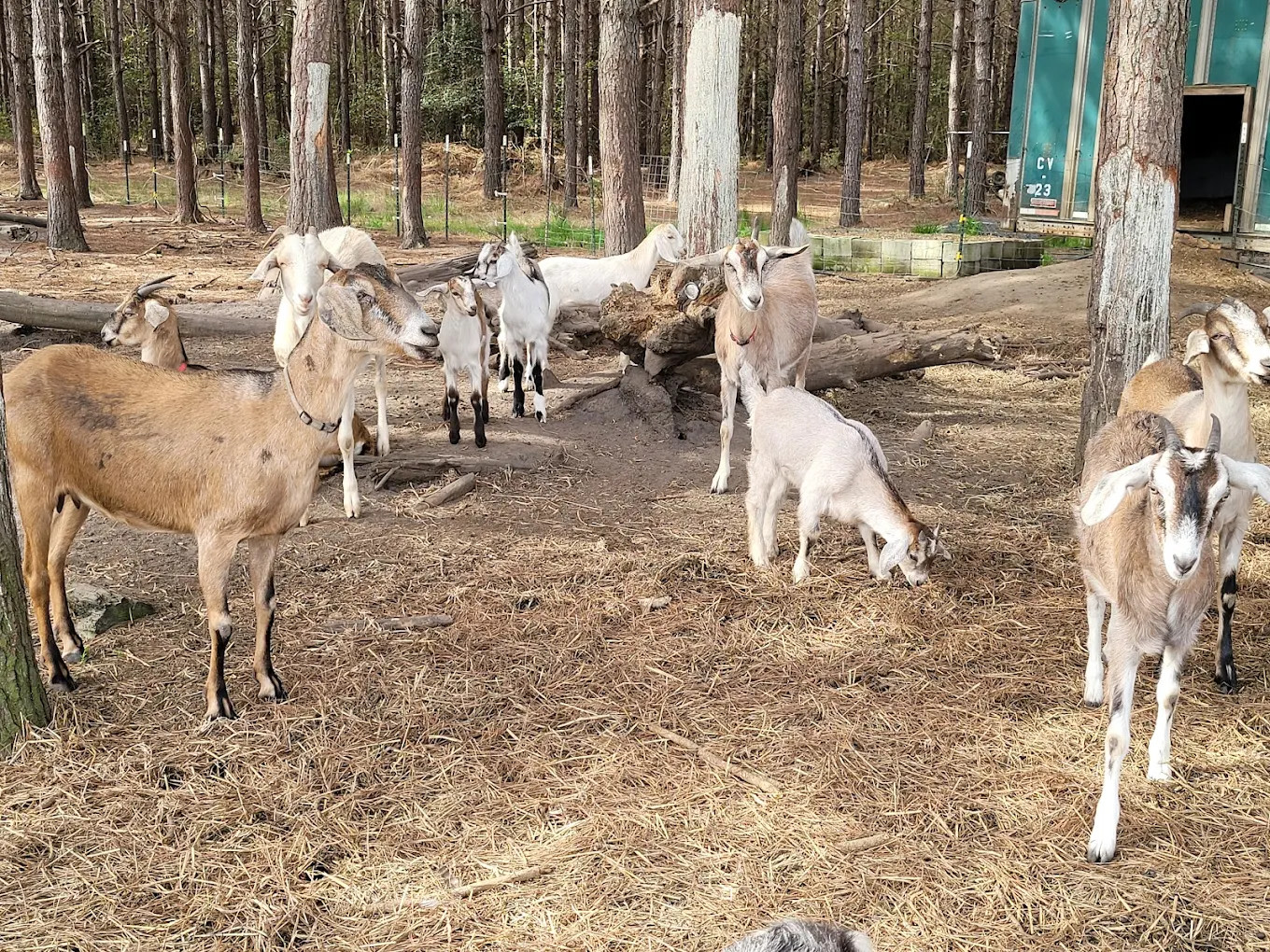 Farm Country Campground