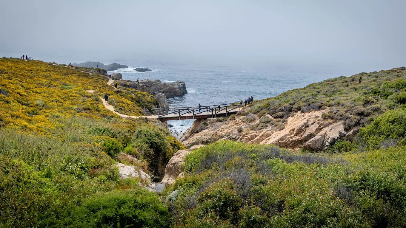 Big Sur Campground & Cabins