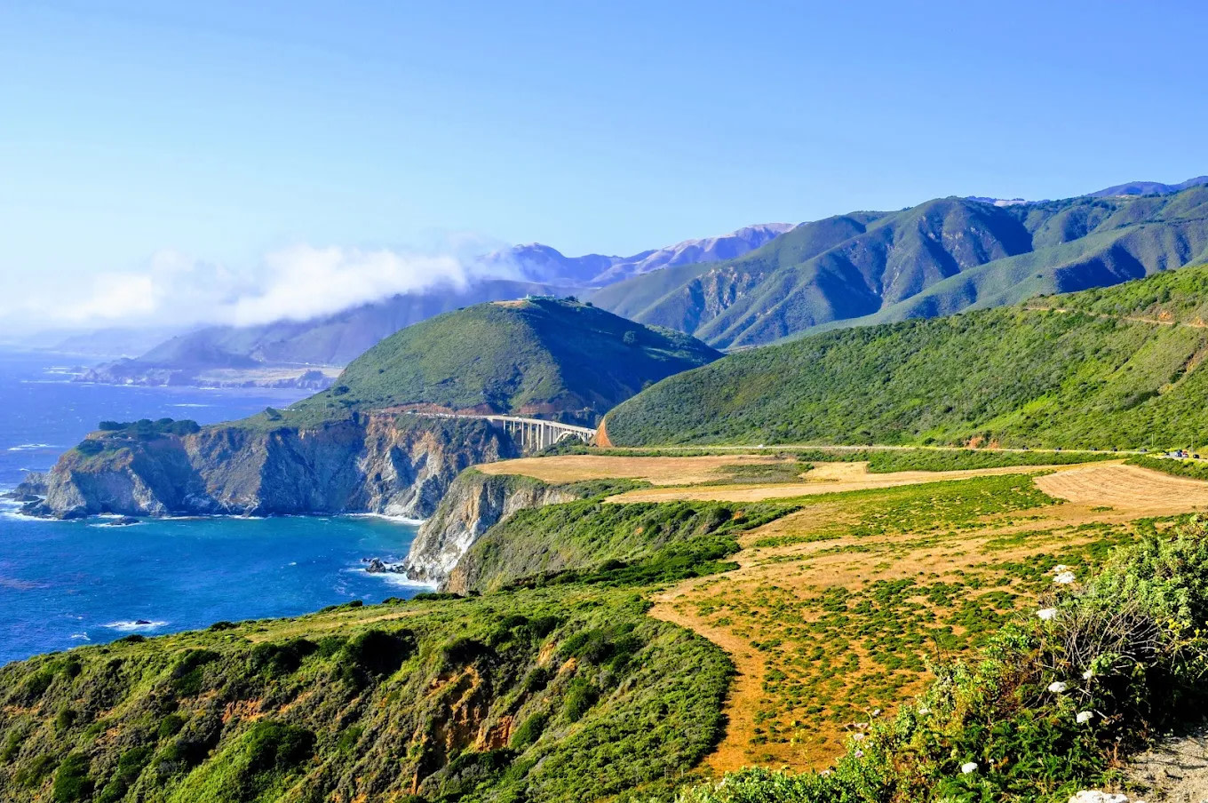 Big Sur Campground & Cabins