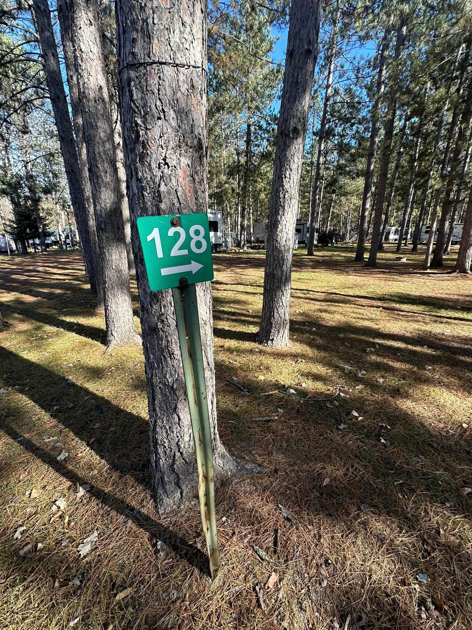 Timberline Campground