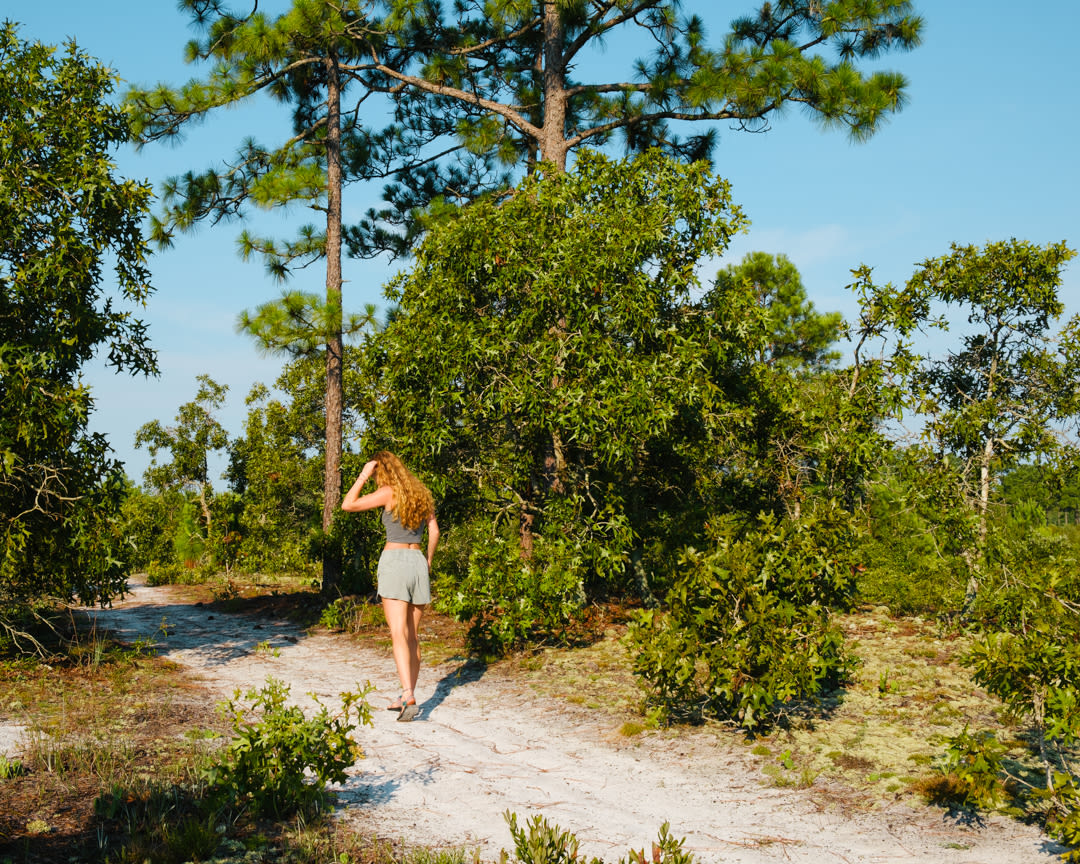 peaceful walking trail
