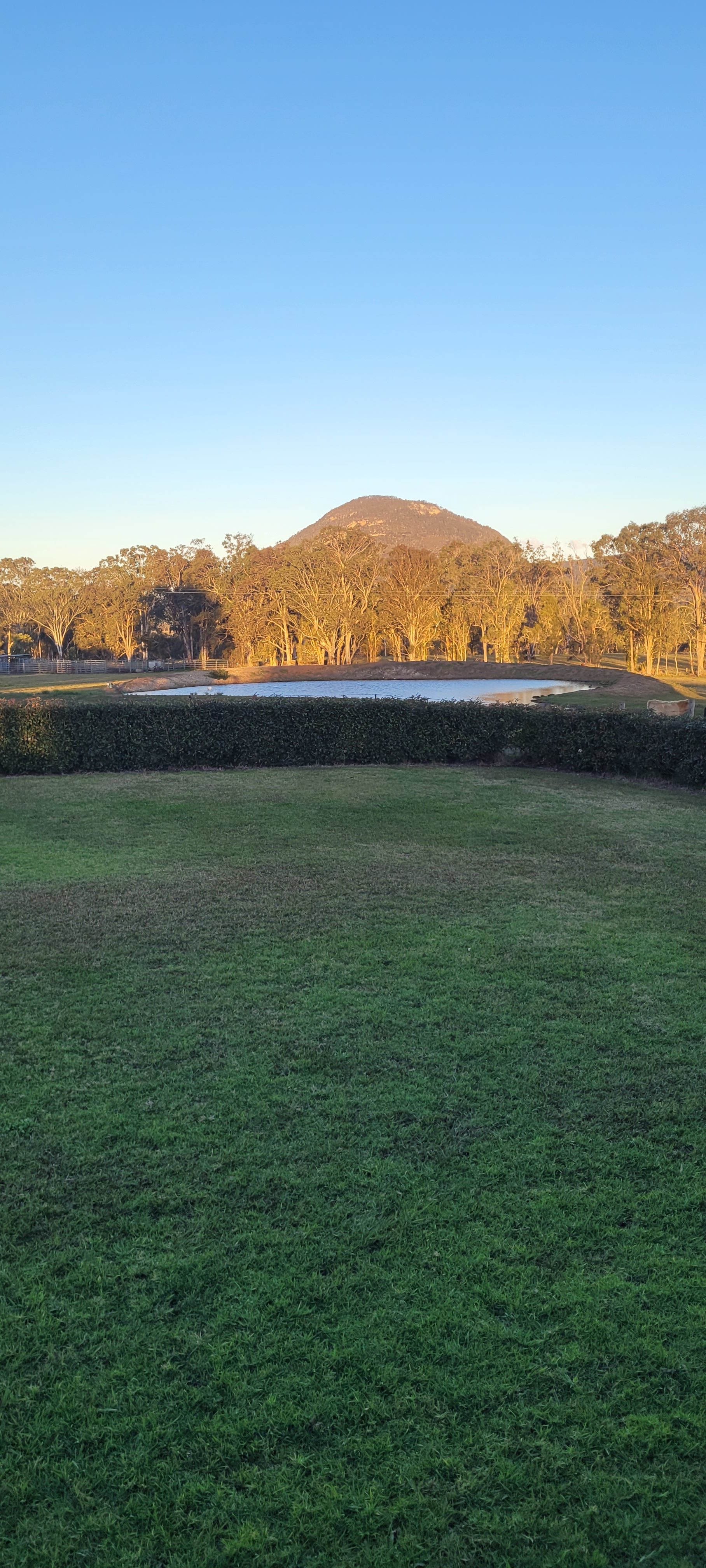 Bowrunga