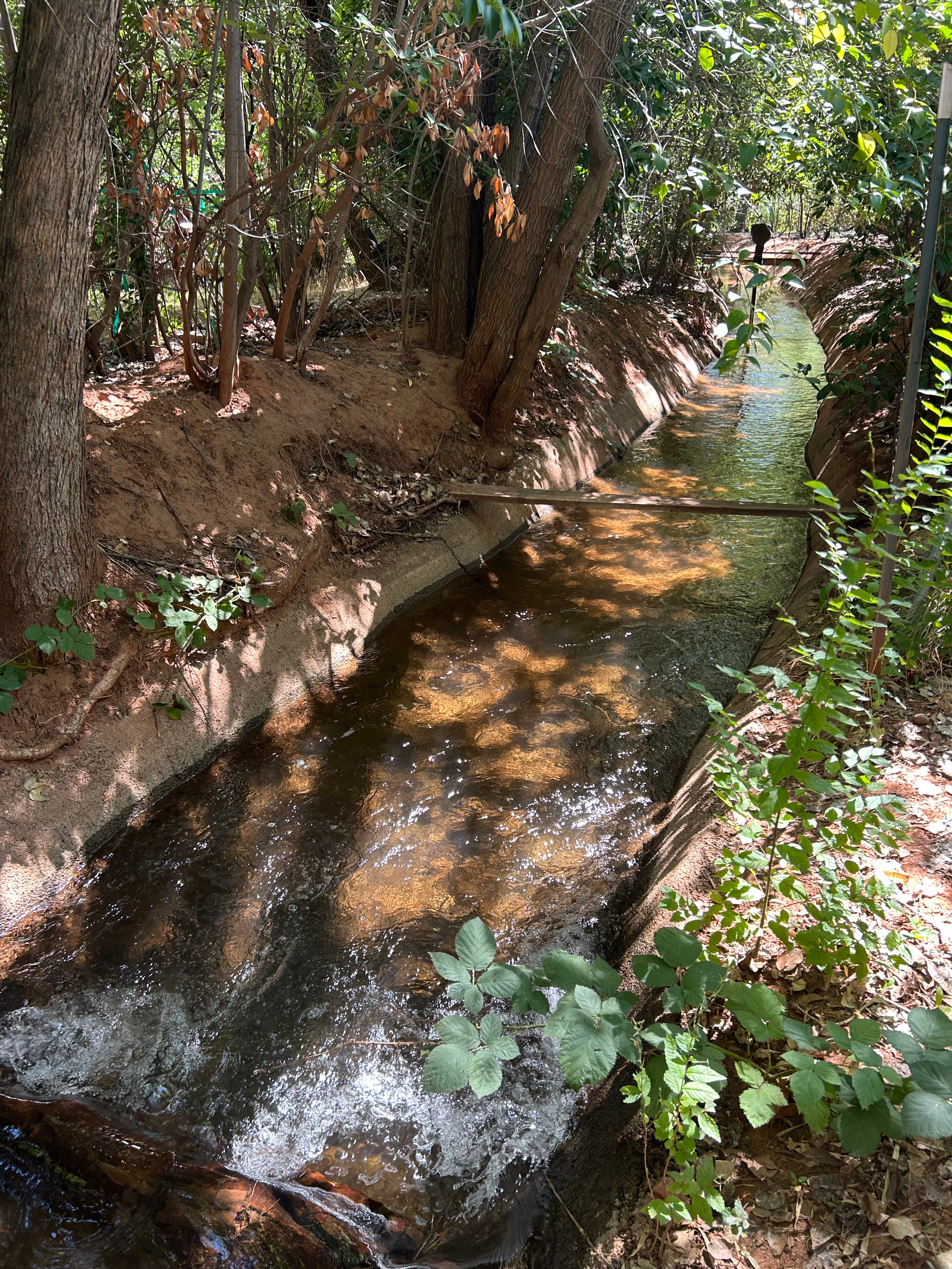 Oak Creek irrigation stream on east side of private road