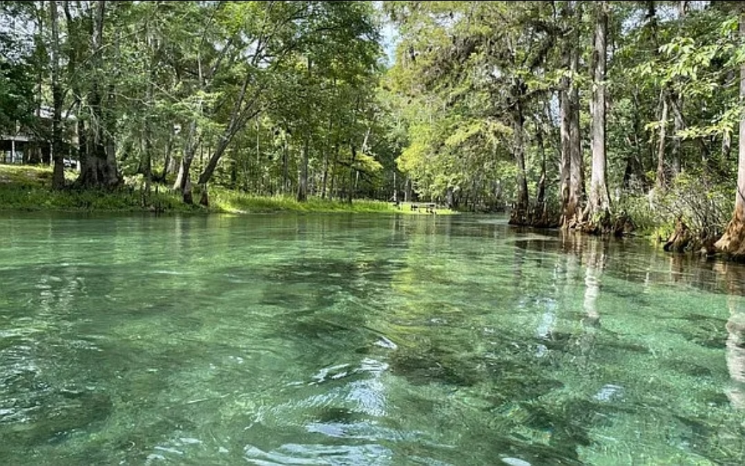 The River's Landing