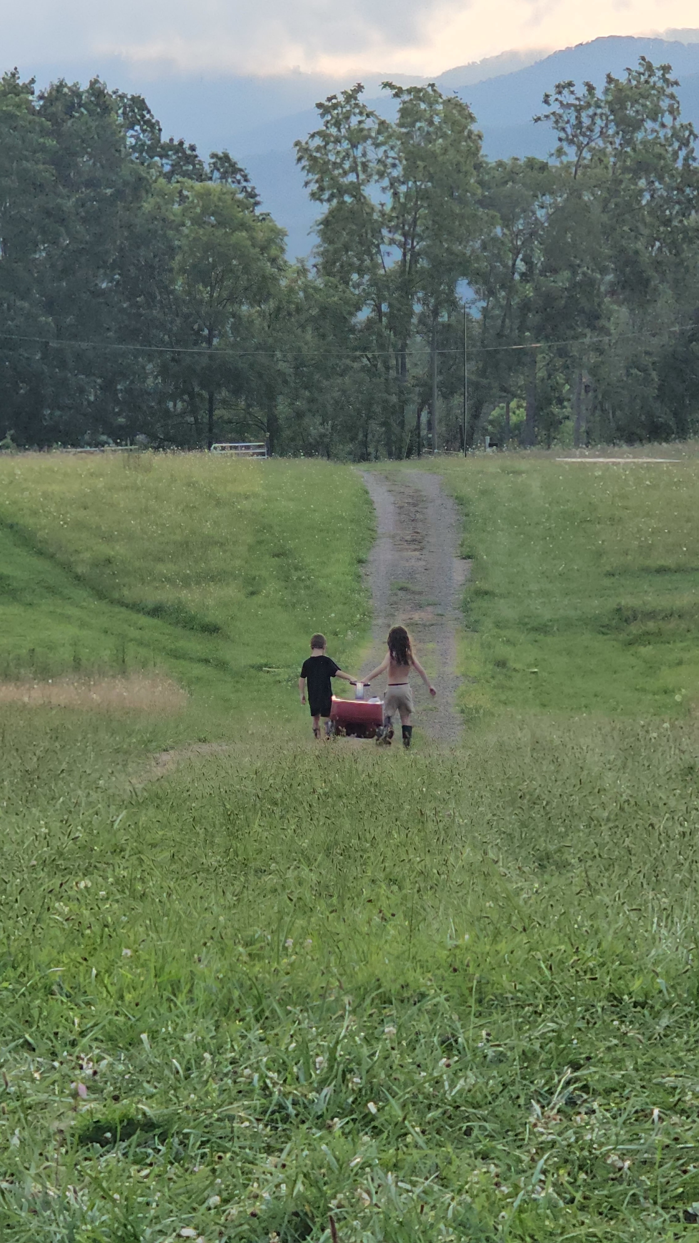 Haukes on the Horizon