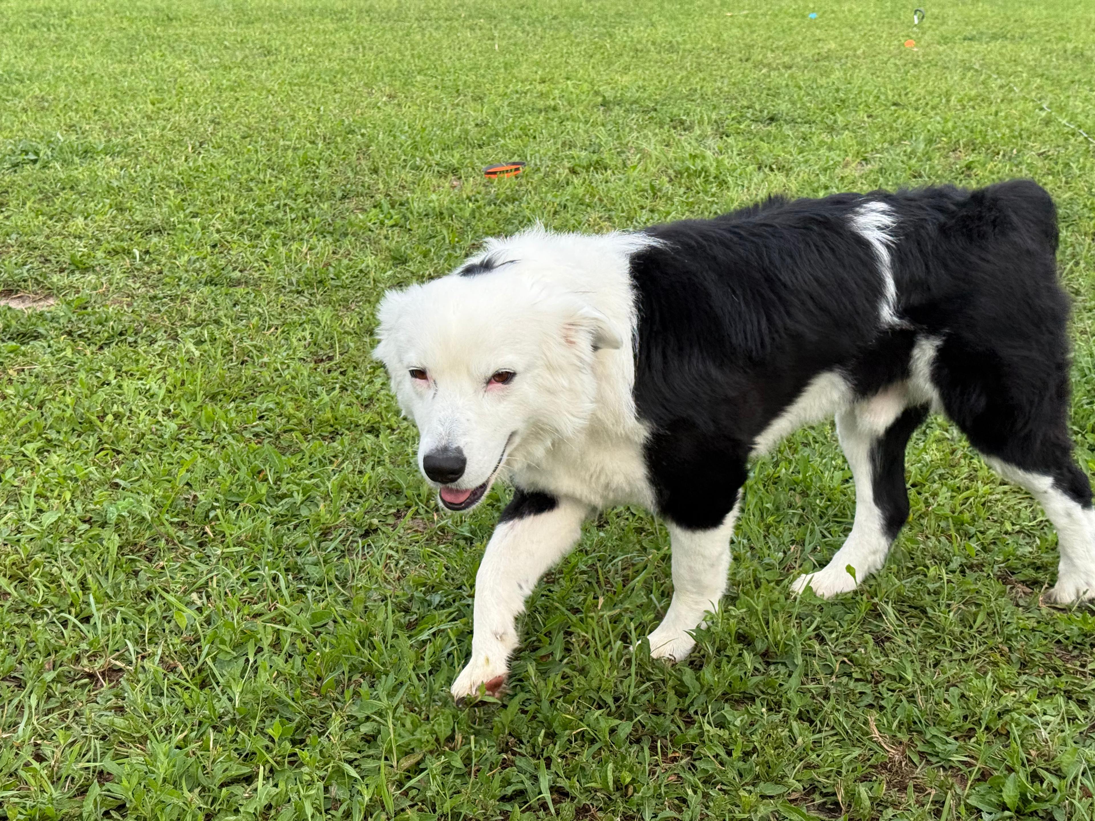 Heart of Lake Charlevoix