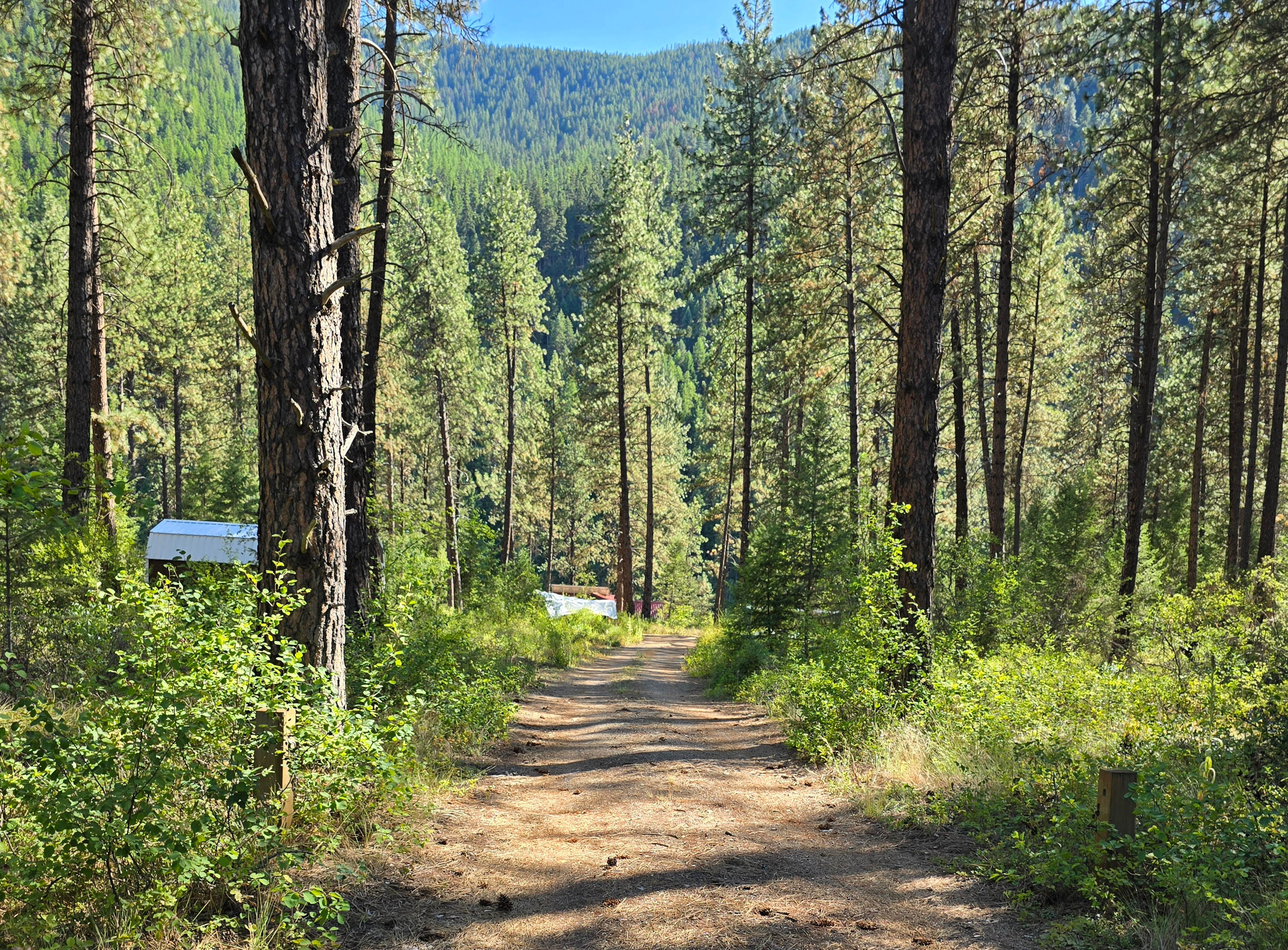 Camping on the Clark Fork