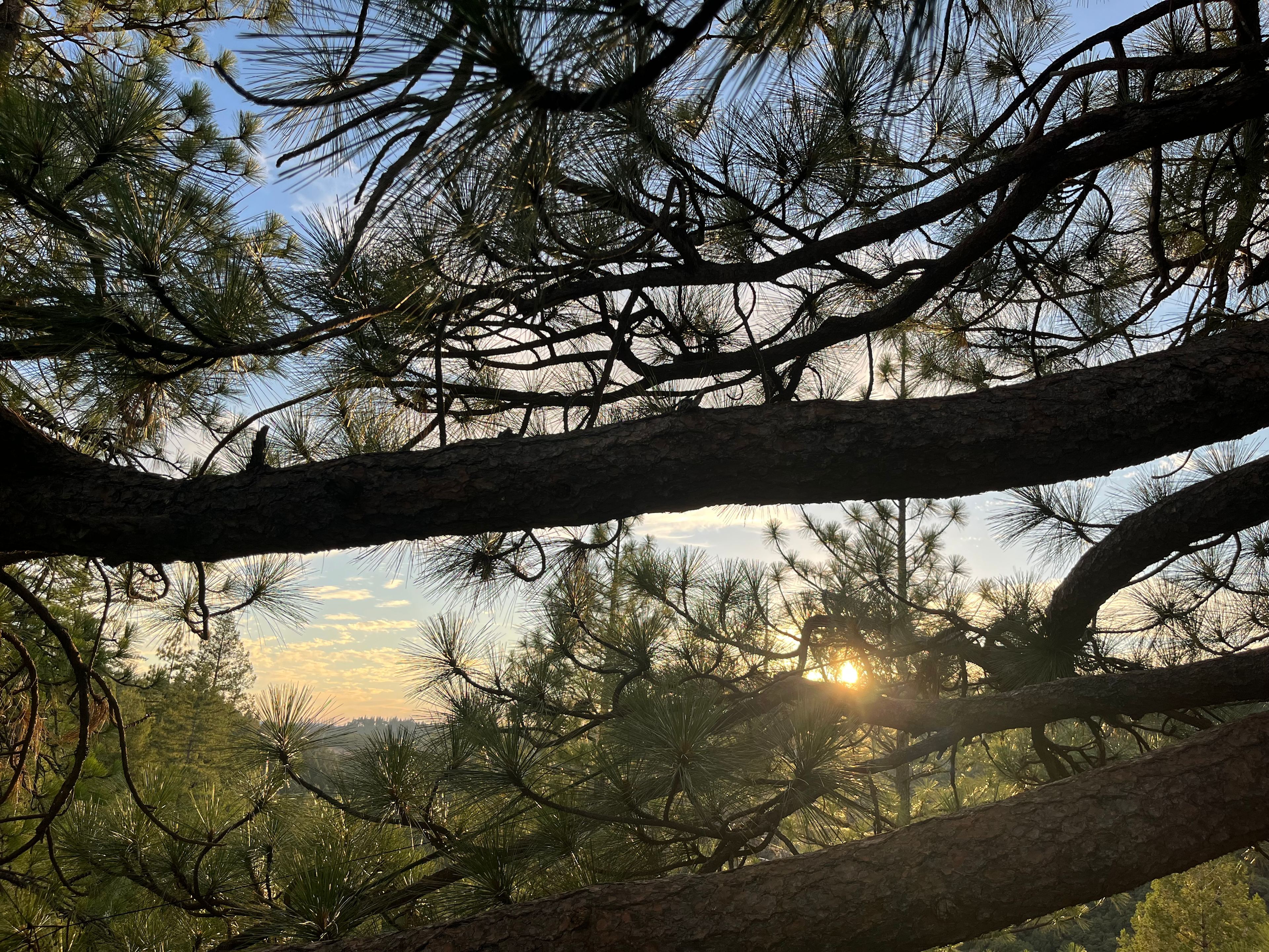 70+ Acre Historic Goldmine Mountain