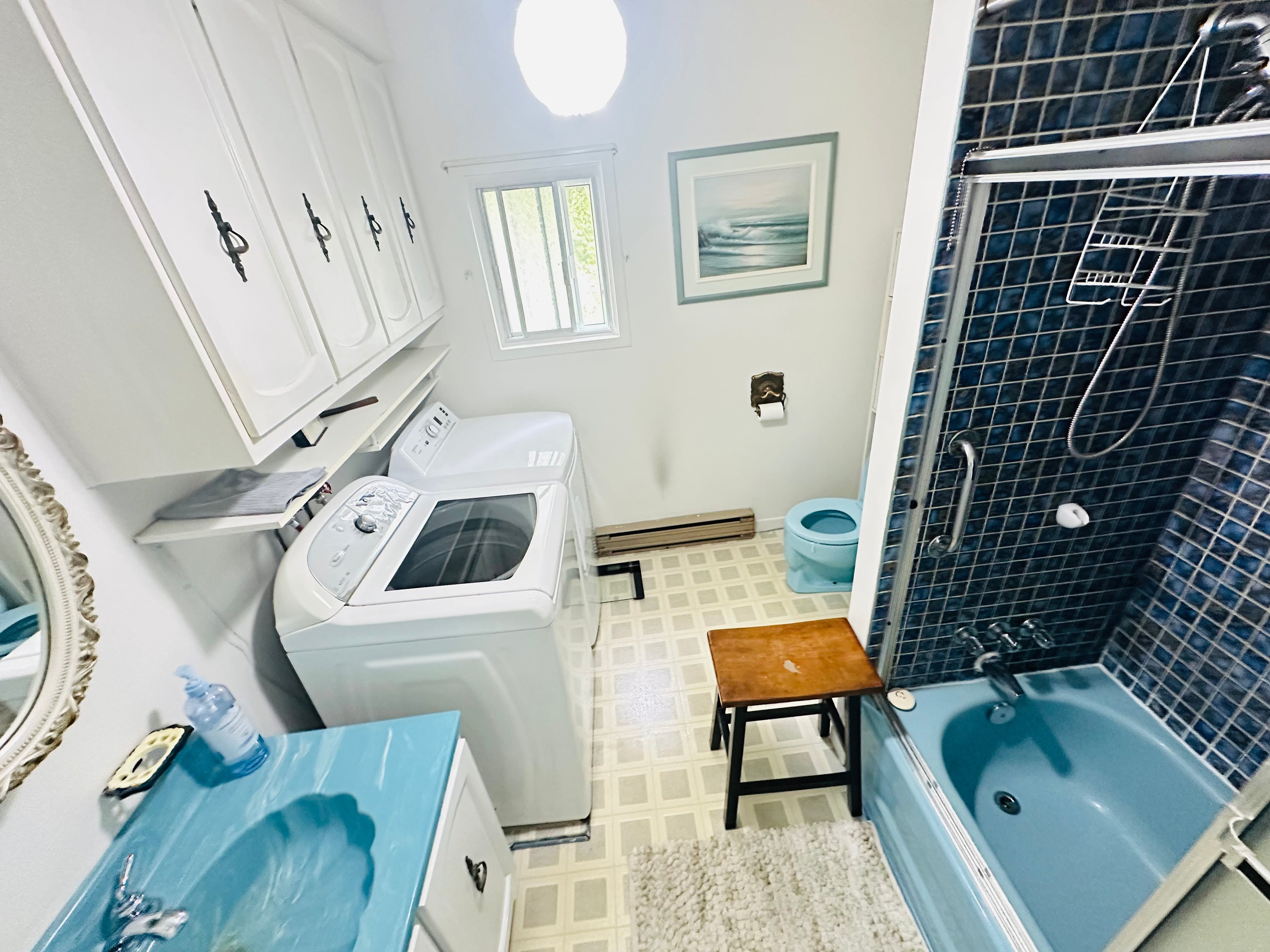 Le Mont des Nénuphars