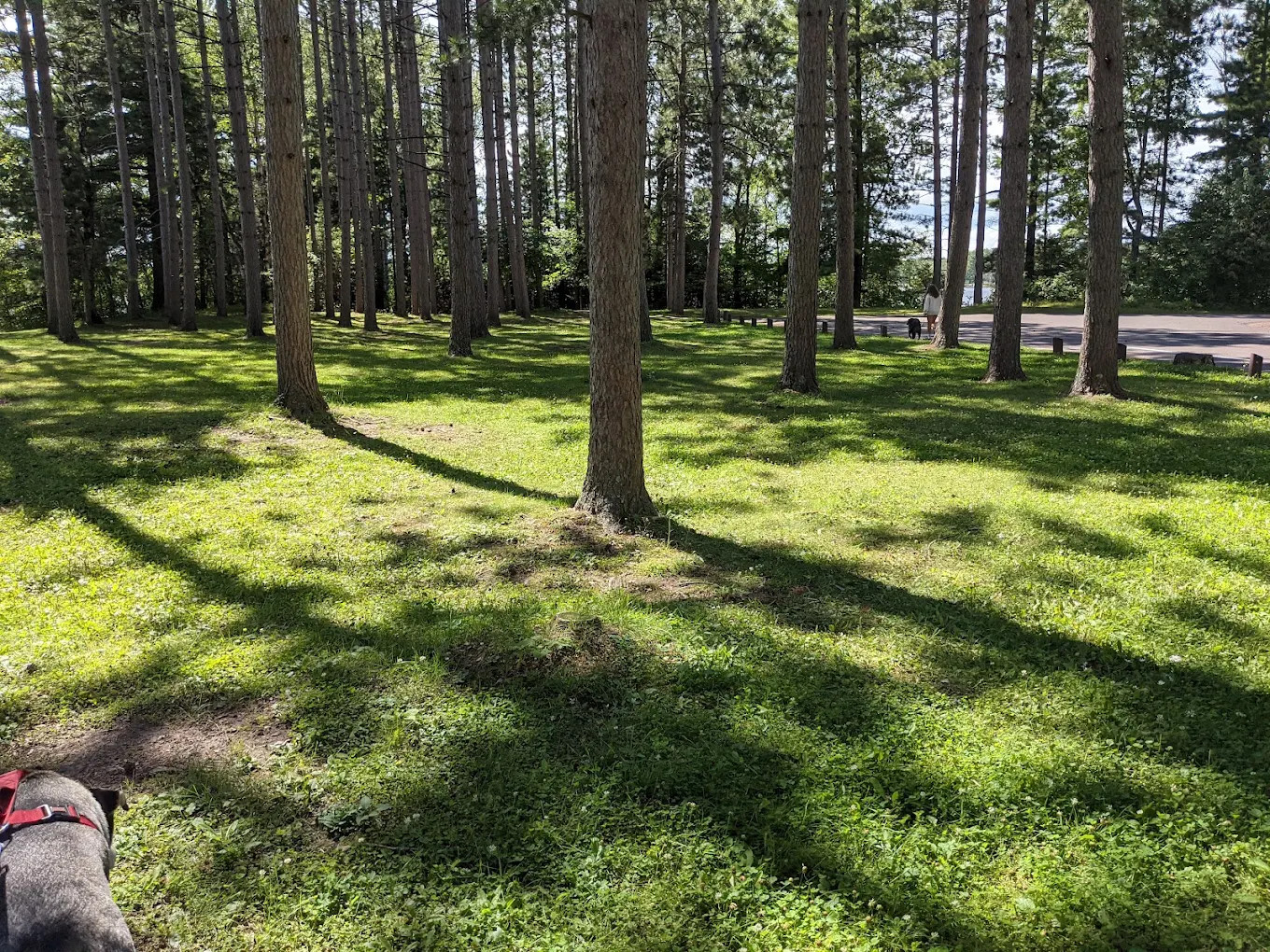 Solberg Lake County Park