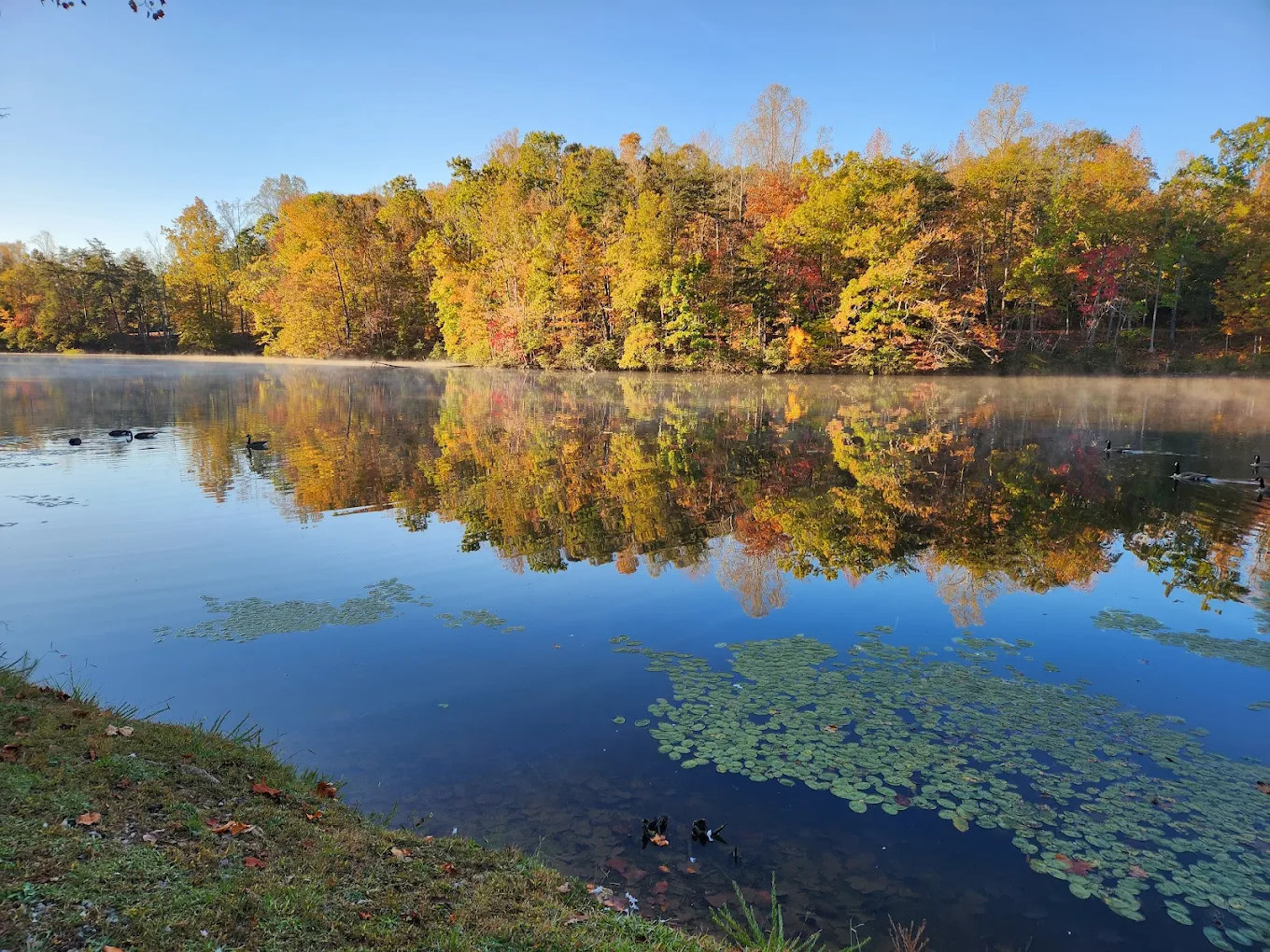 Paradise Lake And Campground