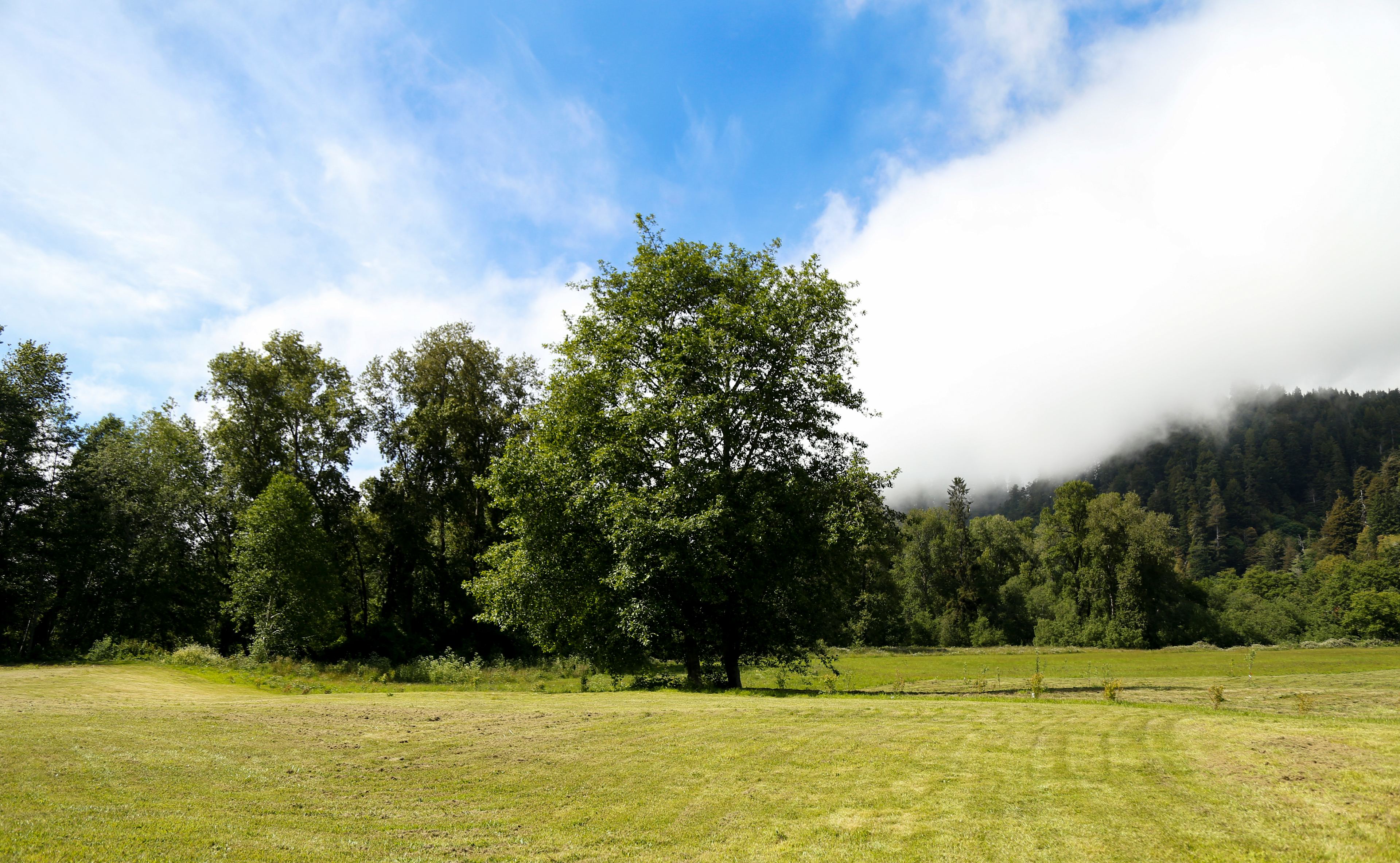 Redwood RV Park
