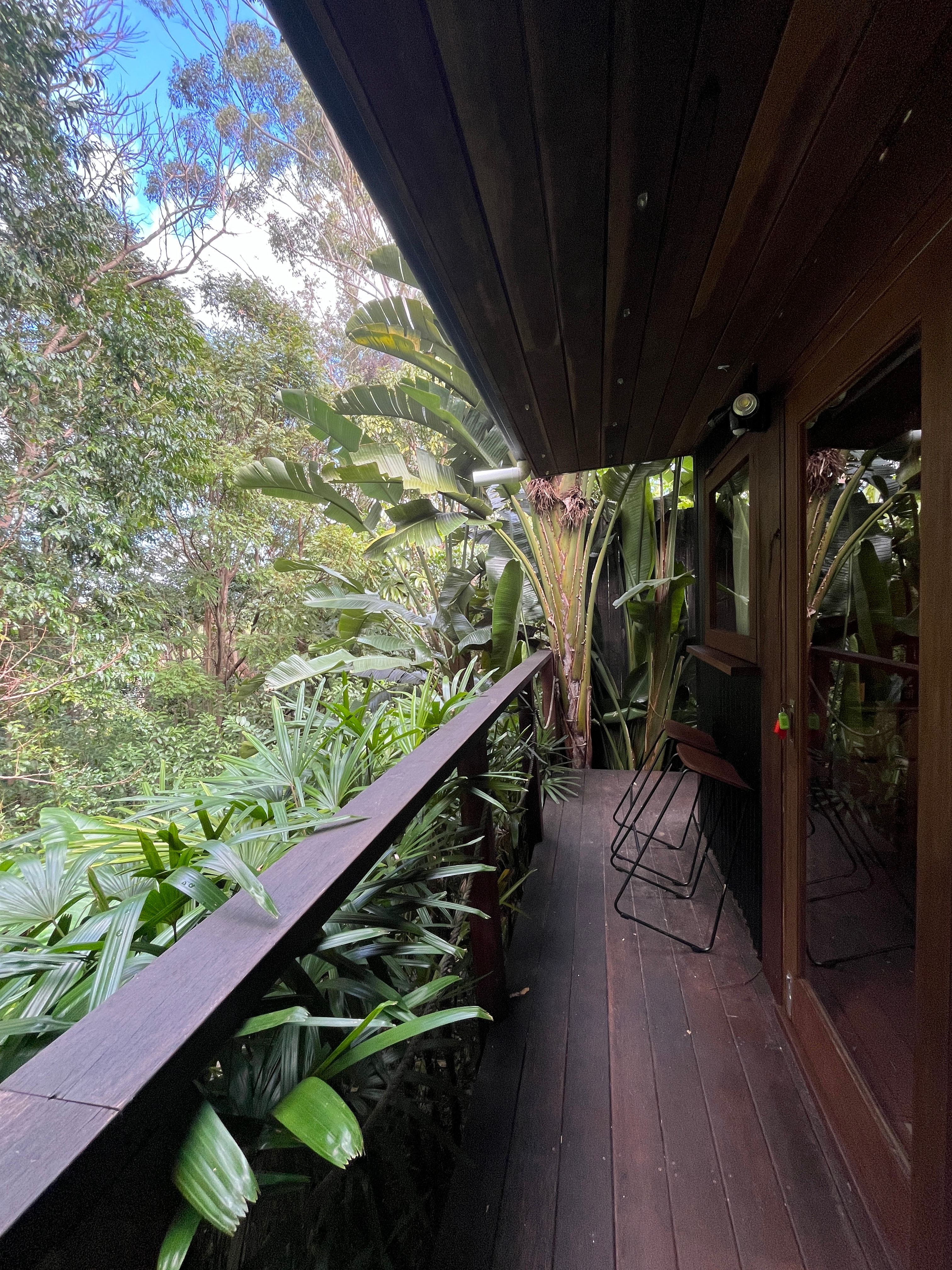 Pet Friendly Rain Forest Cabin 🌿