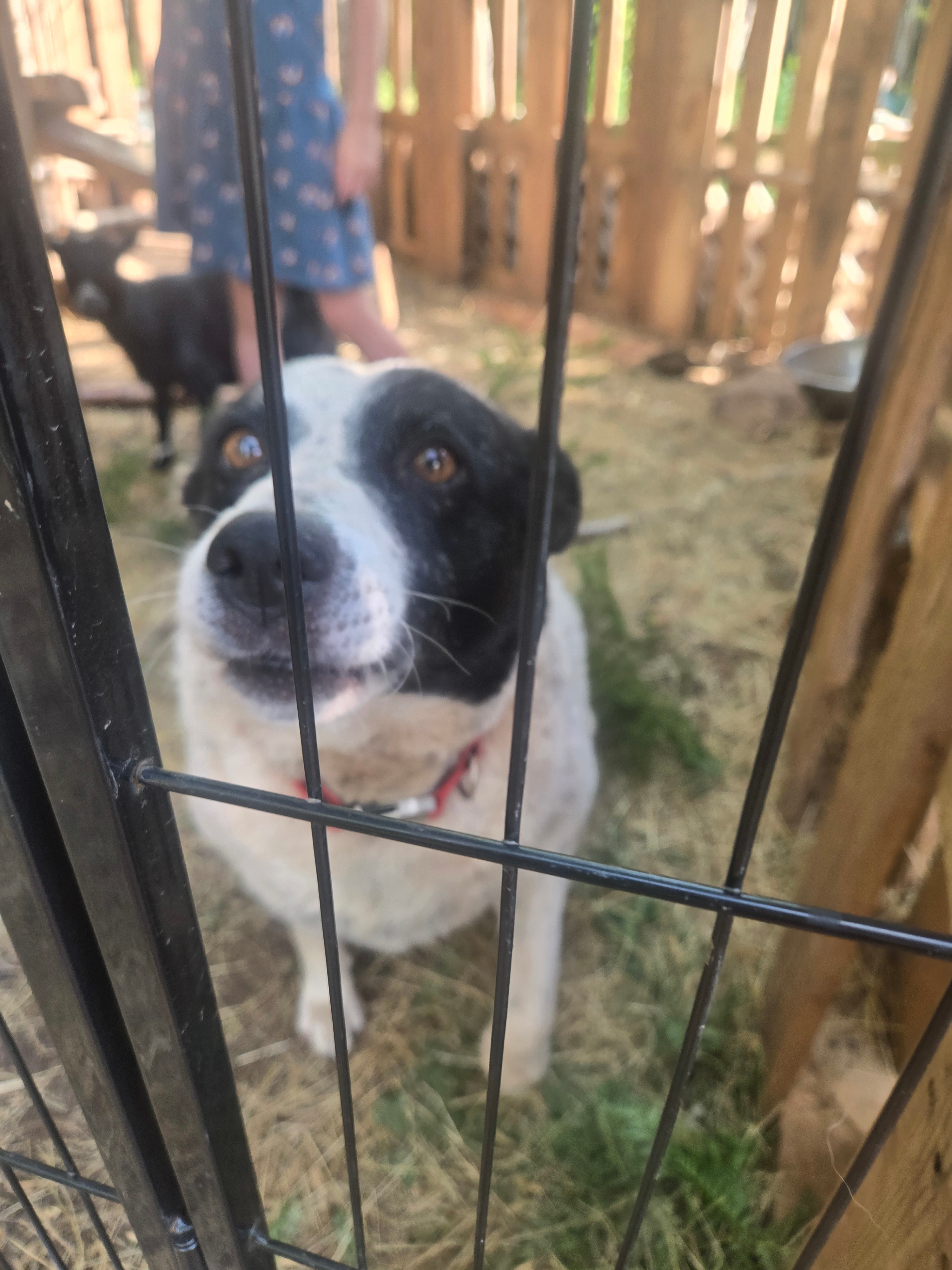 Old Fashioned Homestead Stay