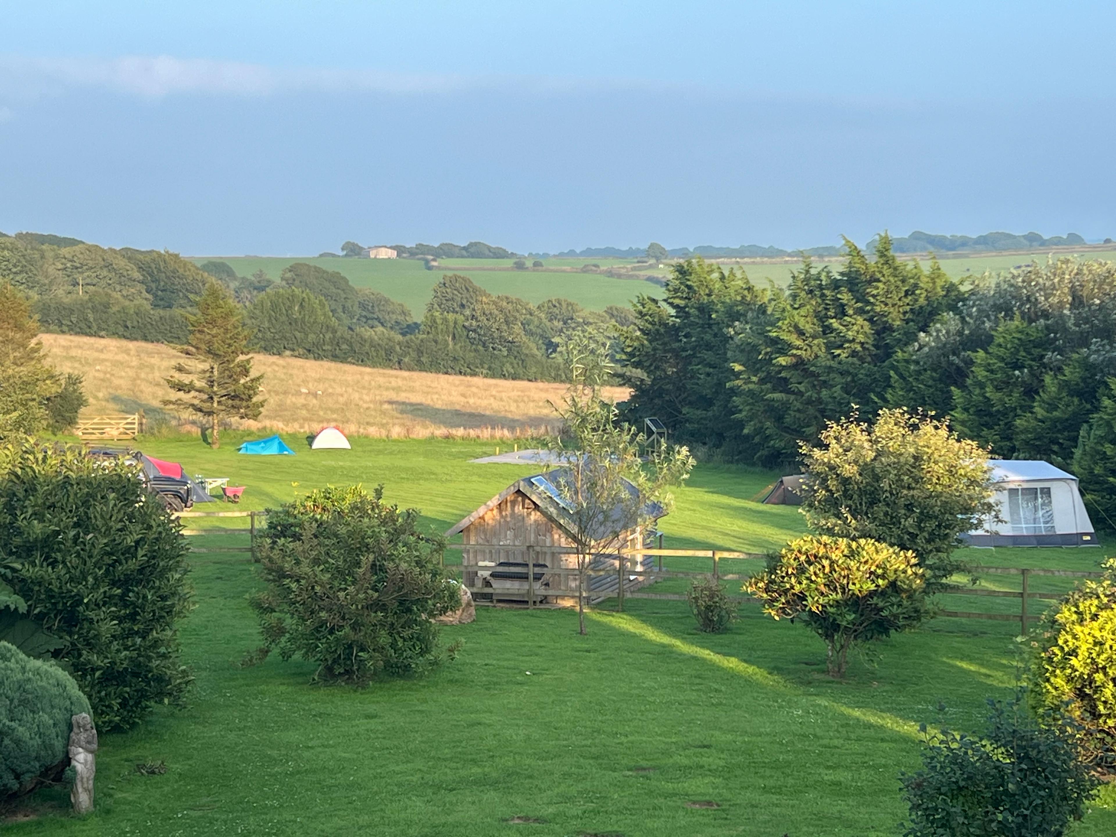 Little Meadow