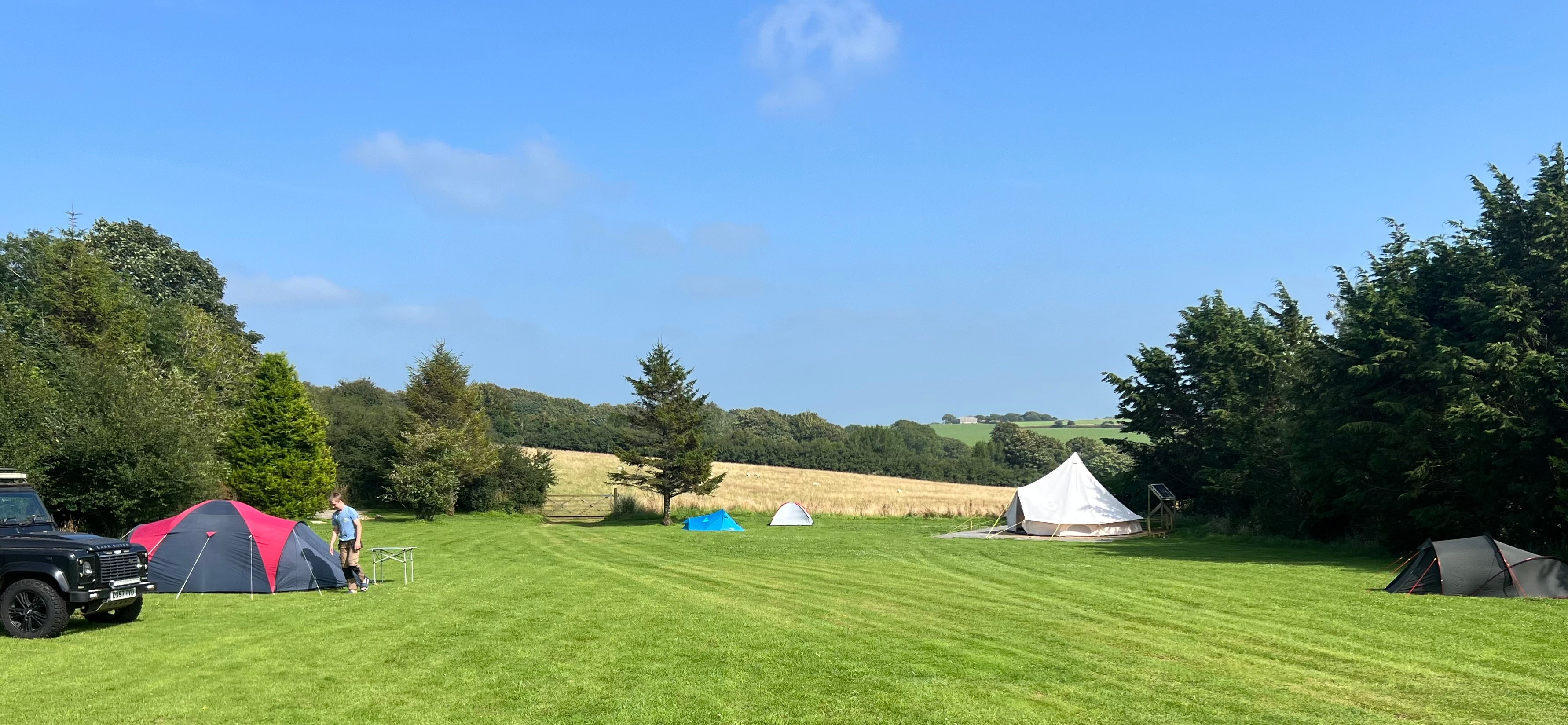 Little Meadow