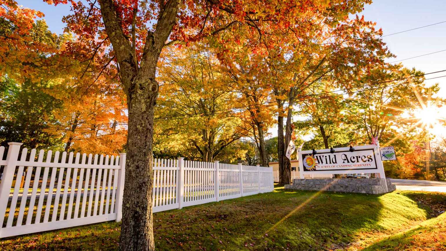 Sun Retreats Wild Acres