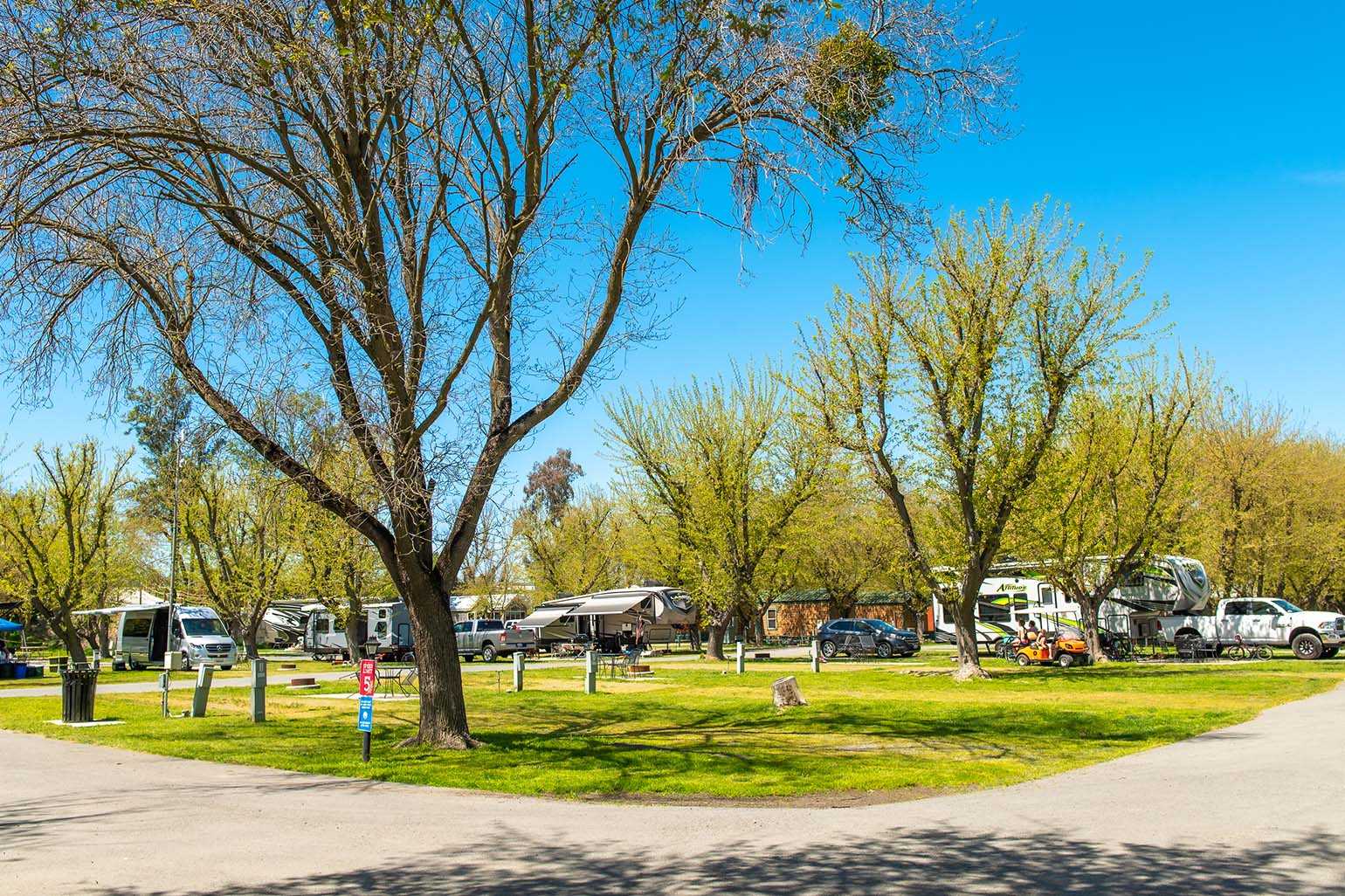 Premium Pull-Thru RV Site