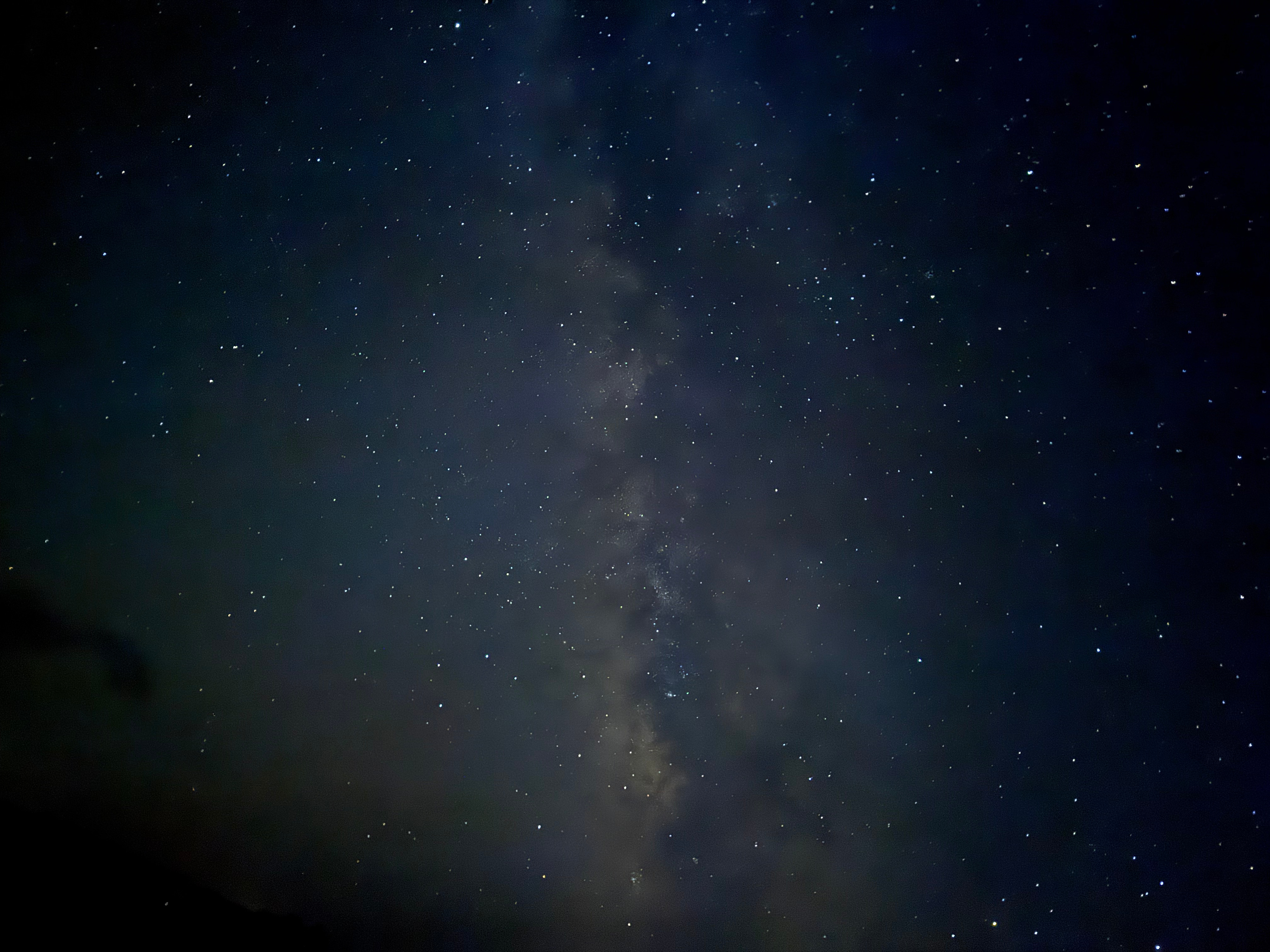 Wandering Moose Homestead