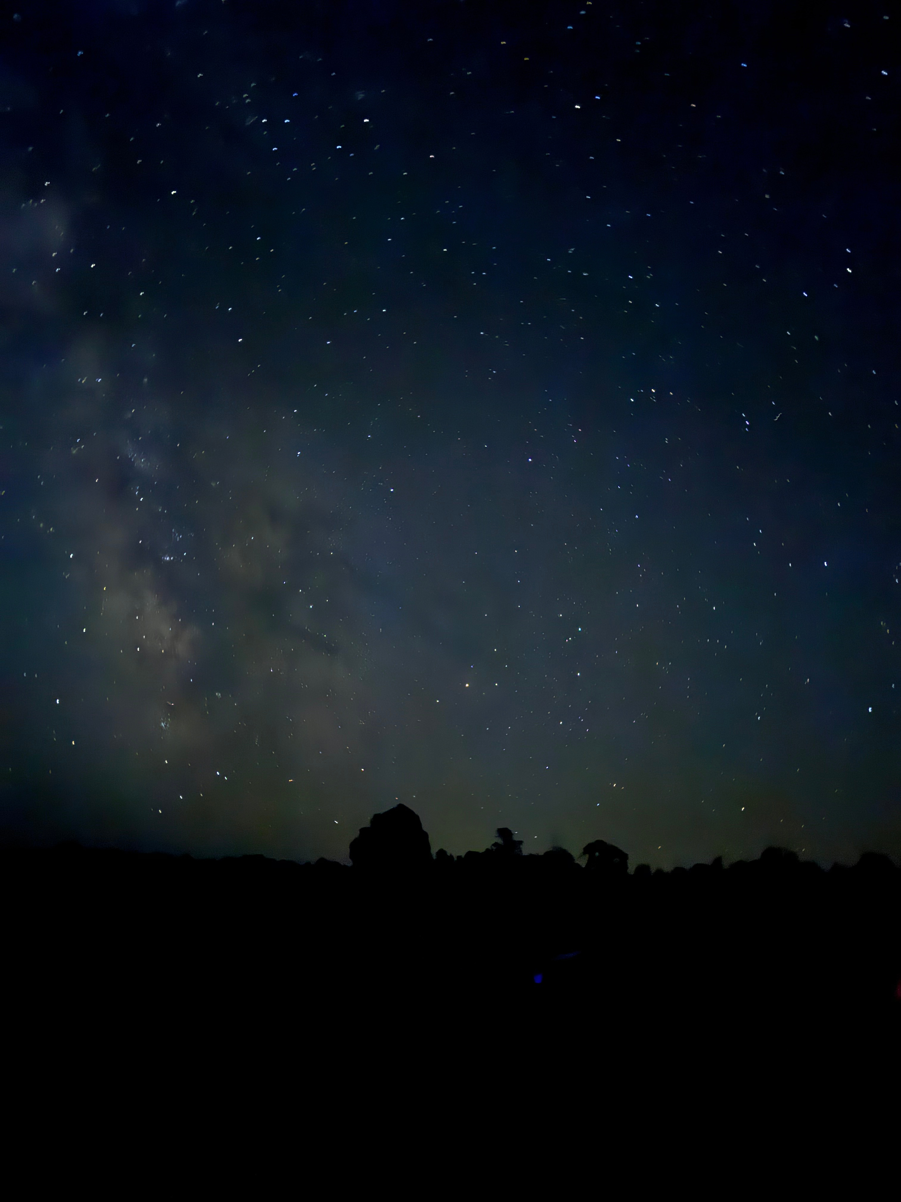 Wandering Moose Homestead