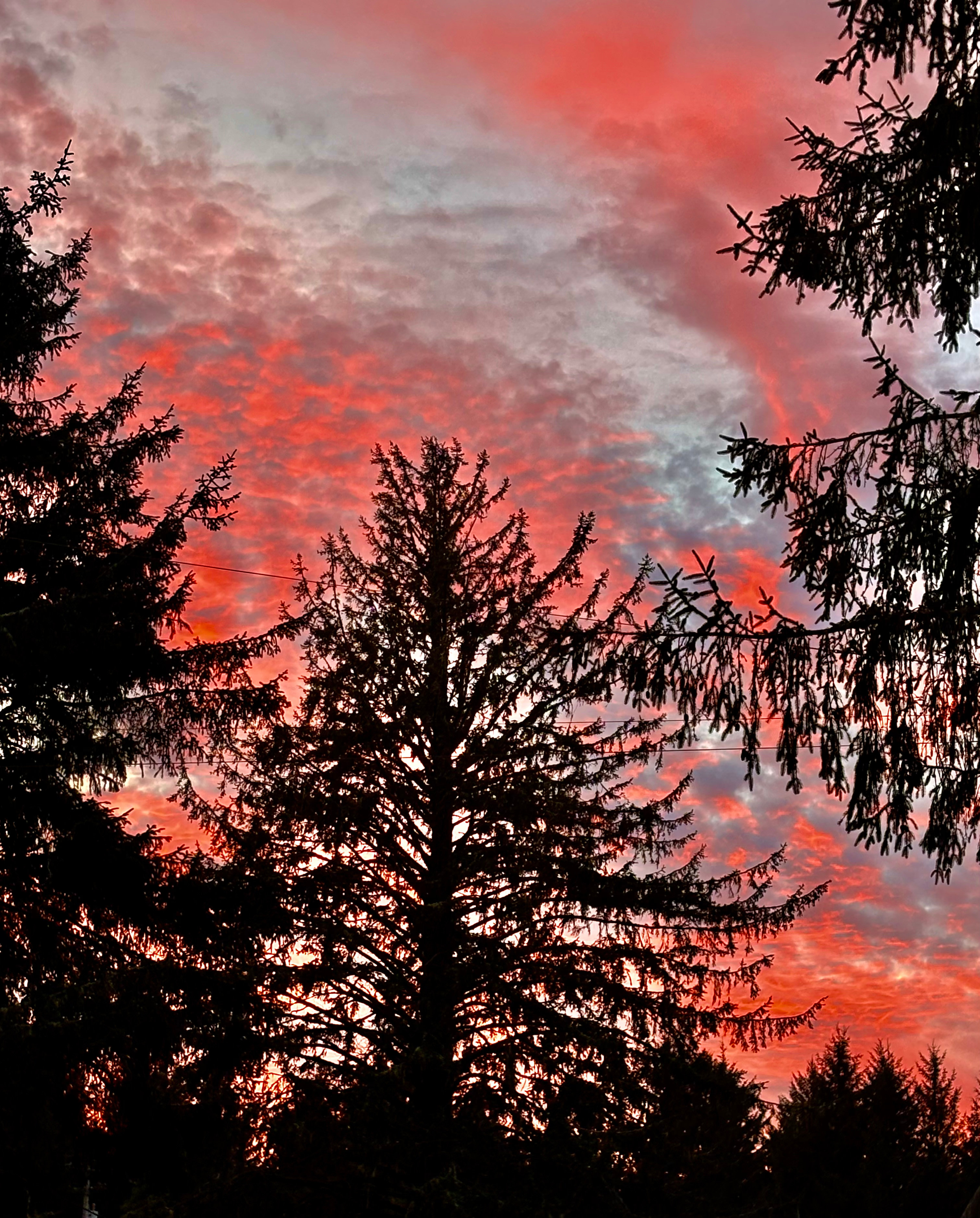 Cloud on Seven