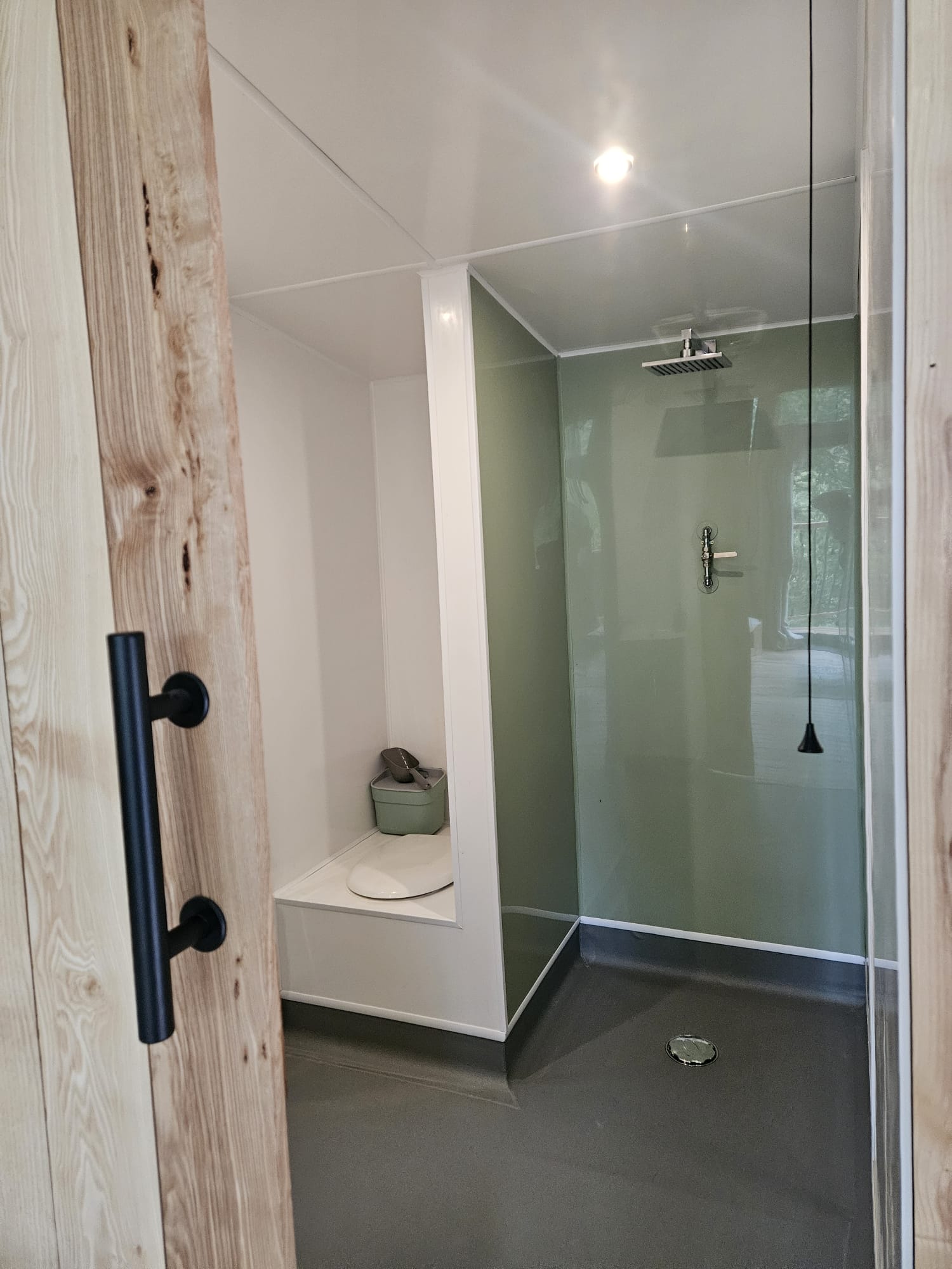 Tree Tops and Train Tracks