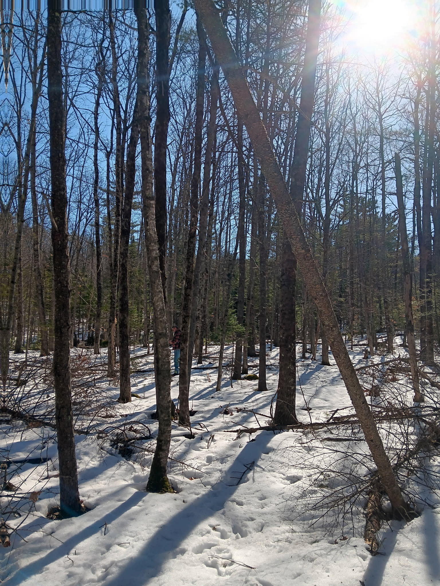 Broad Meadow